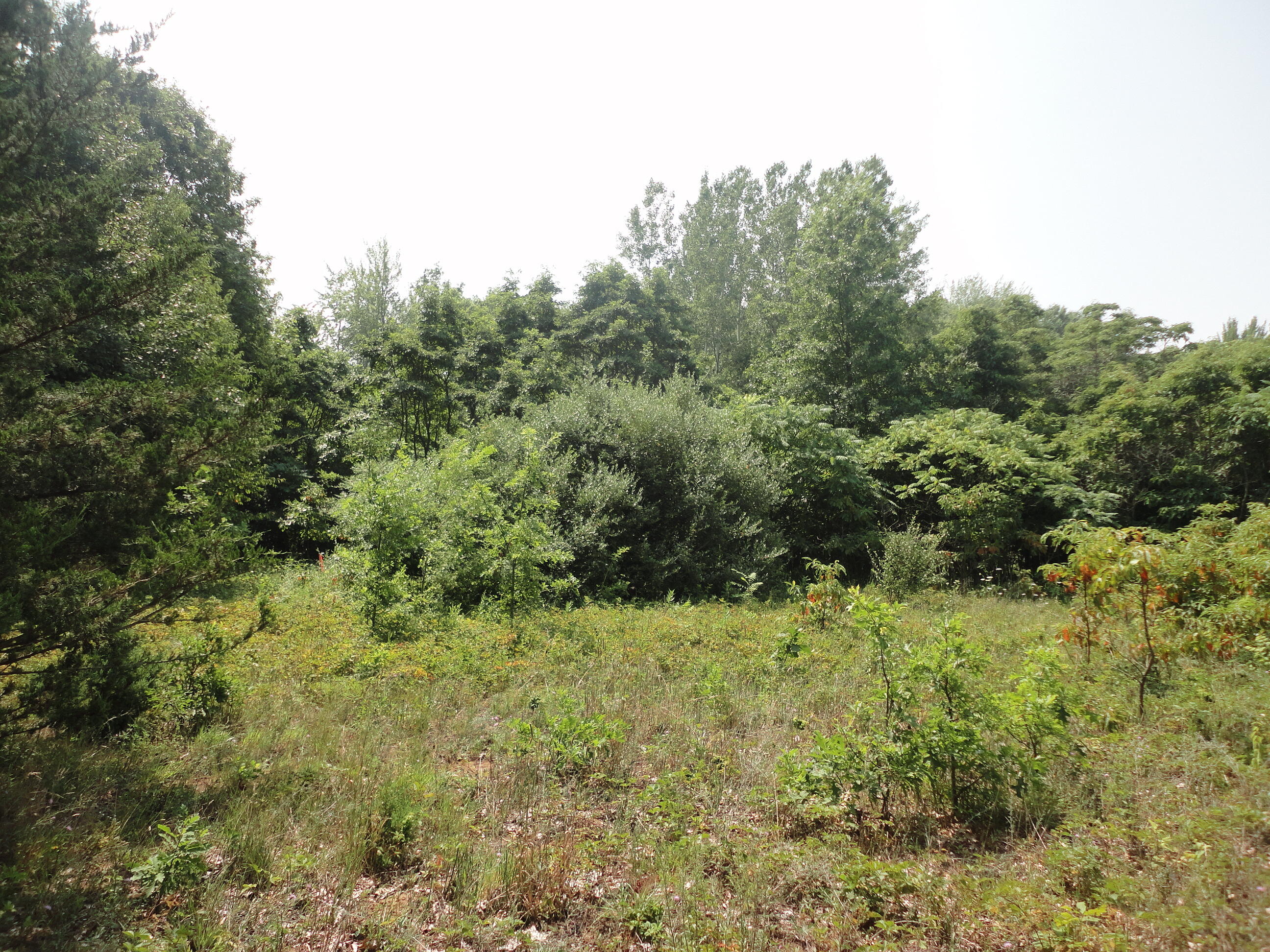 Parcel B Cr 215 Grand Junction MI 49056