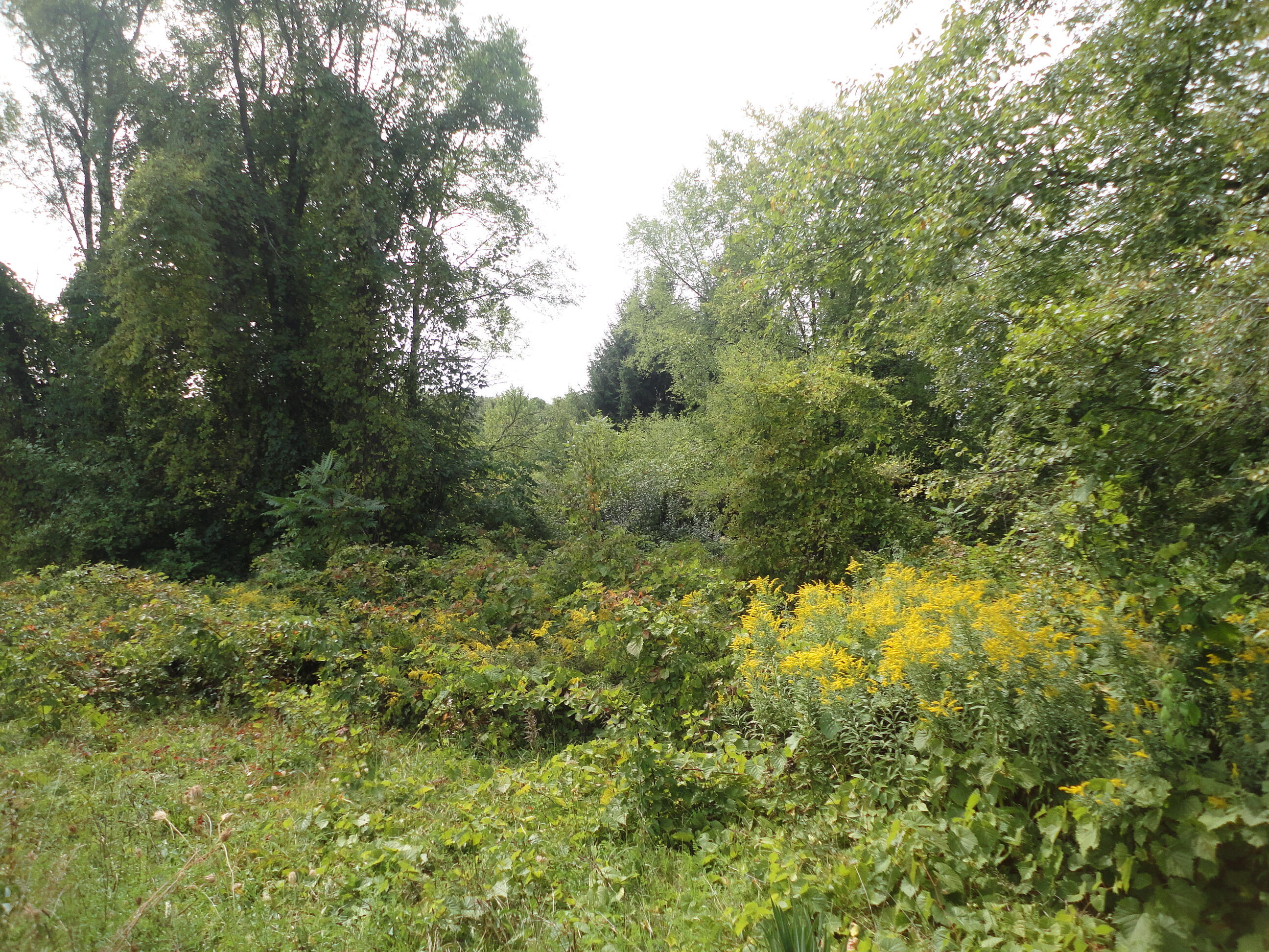 Parcel B Cr 215 Grand Junction MI 49056