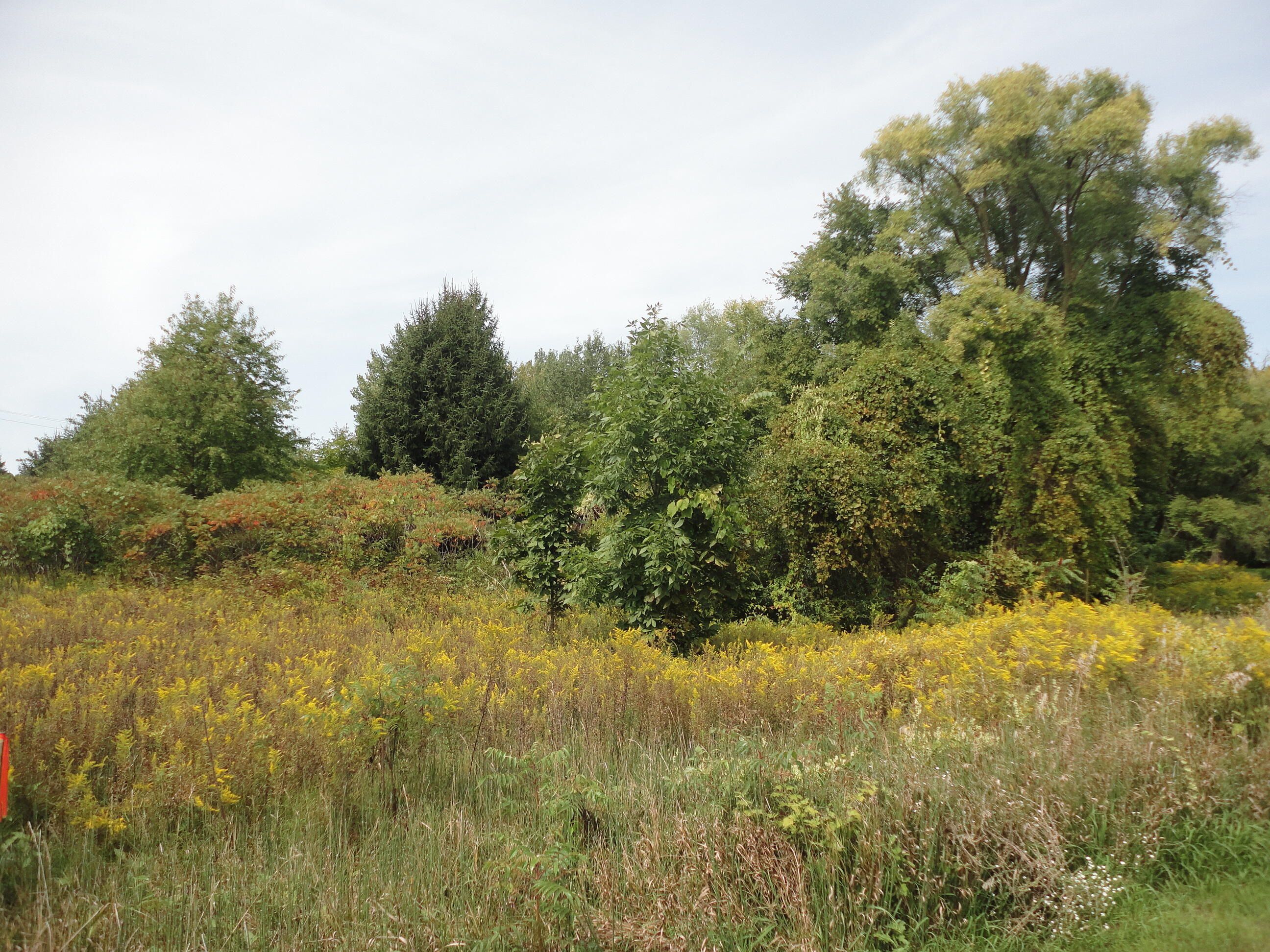 Parcel B Cr 215 Grand Junction MI 49056