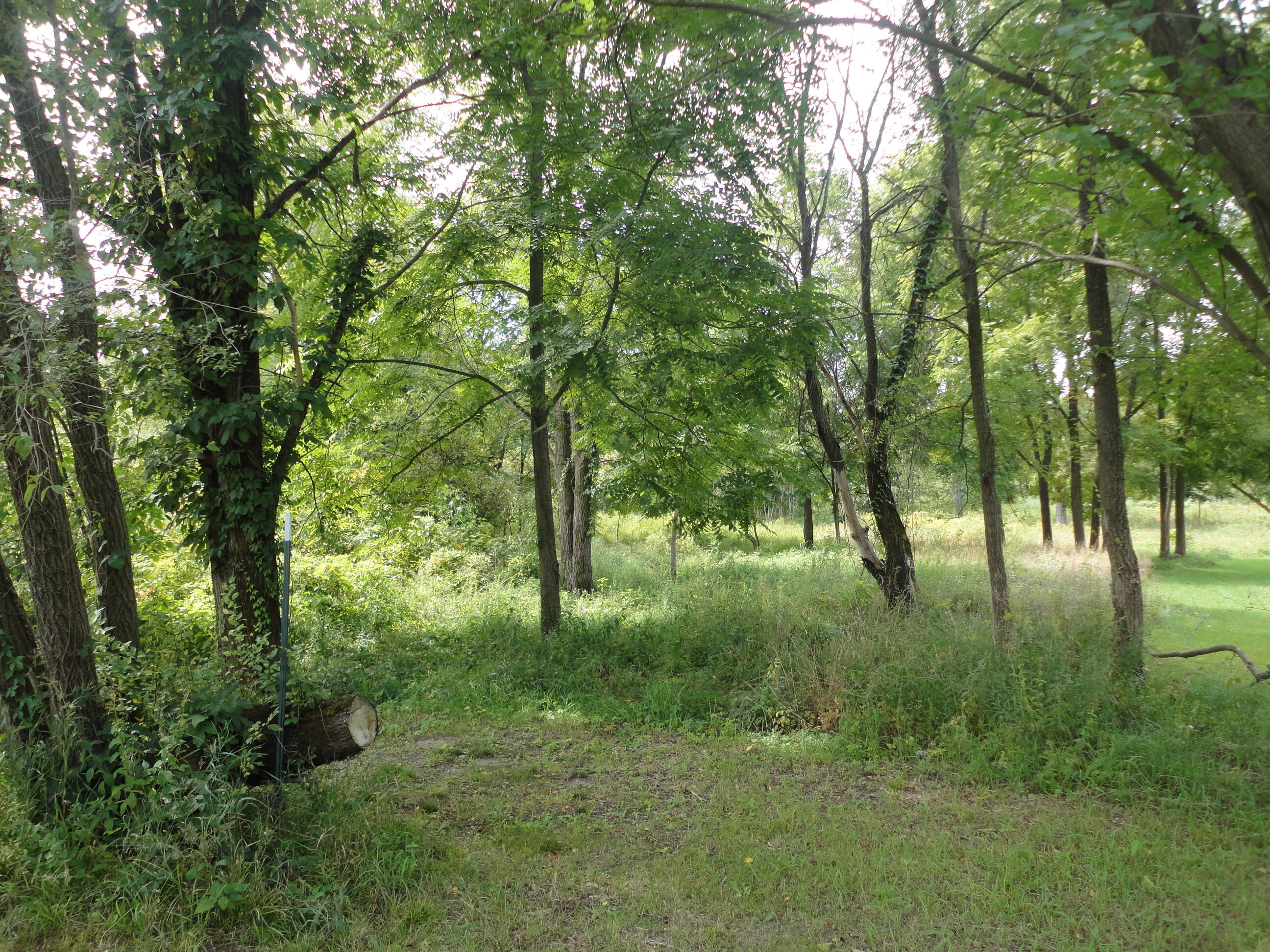 Parcel B Cr 215 Grand Junction MI 49056