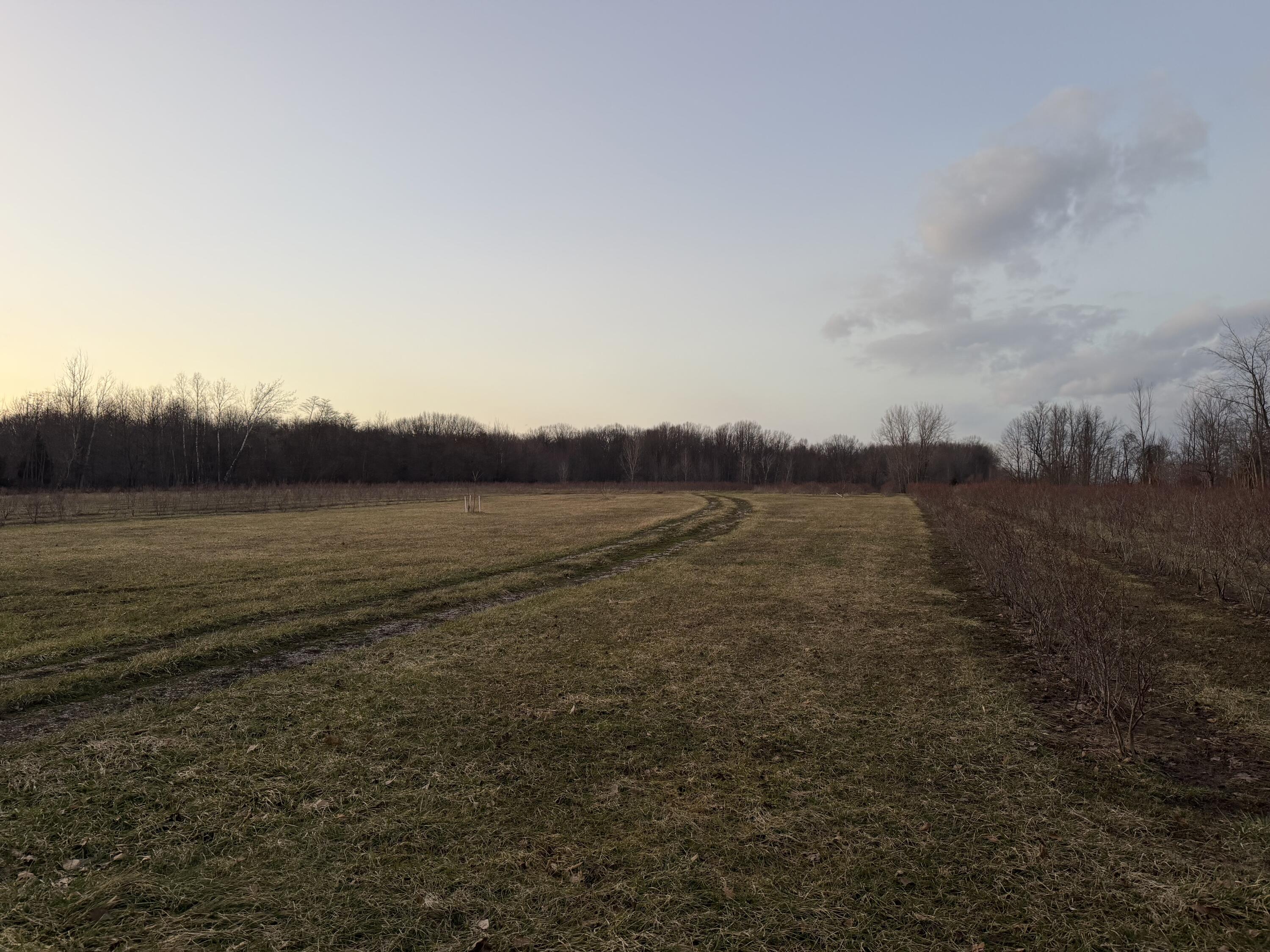 73122 36th Avenue Covert MI 49043