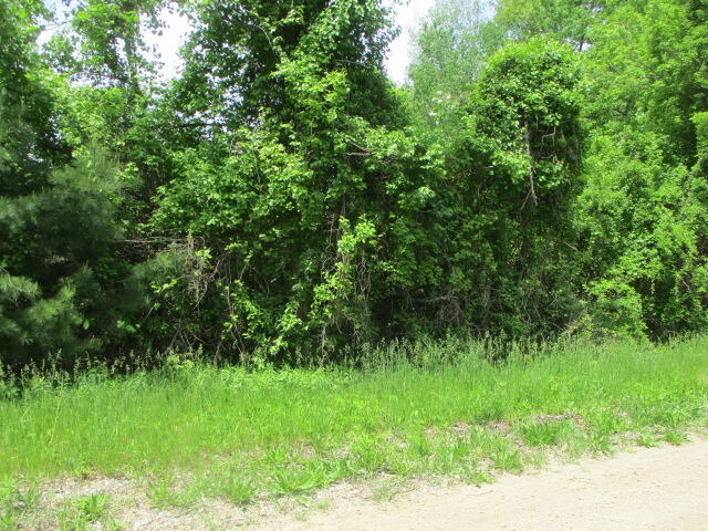 6222 Roosevelt Street Coloma MI 49038