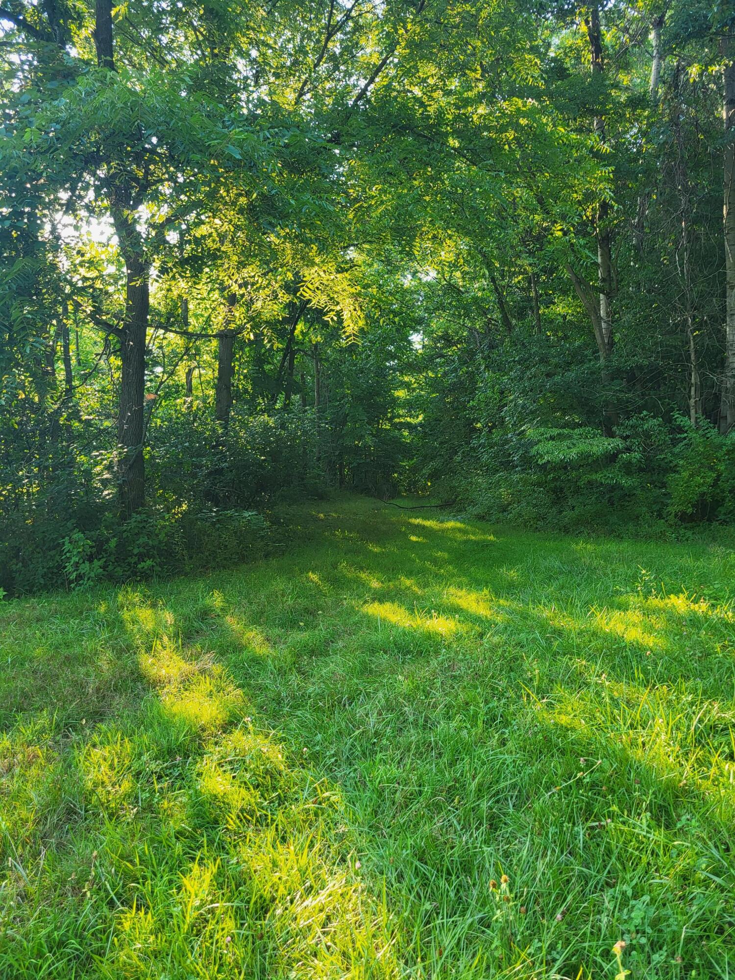64945 Calvin Center Road Cassopolis MI 49031