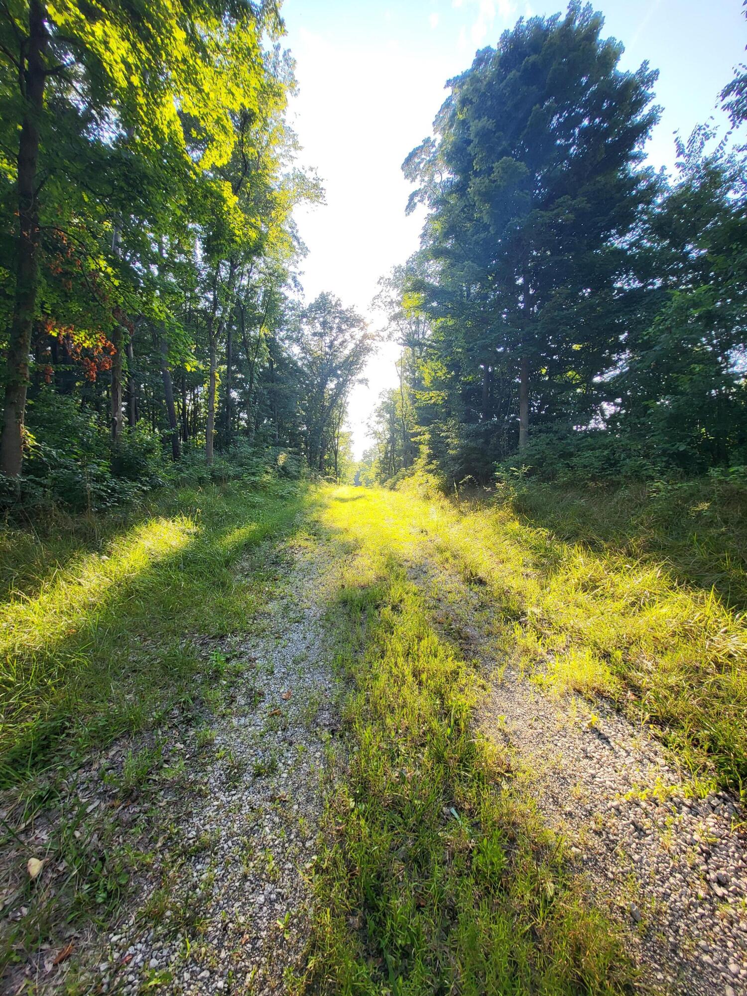 64945 Calvin Center Road Cassopolis MI 49031