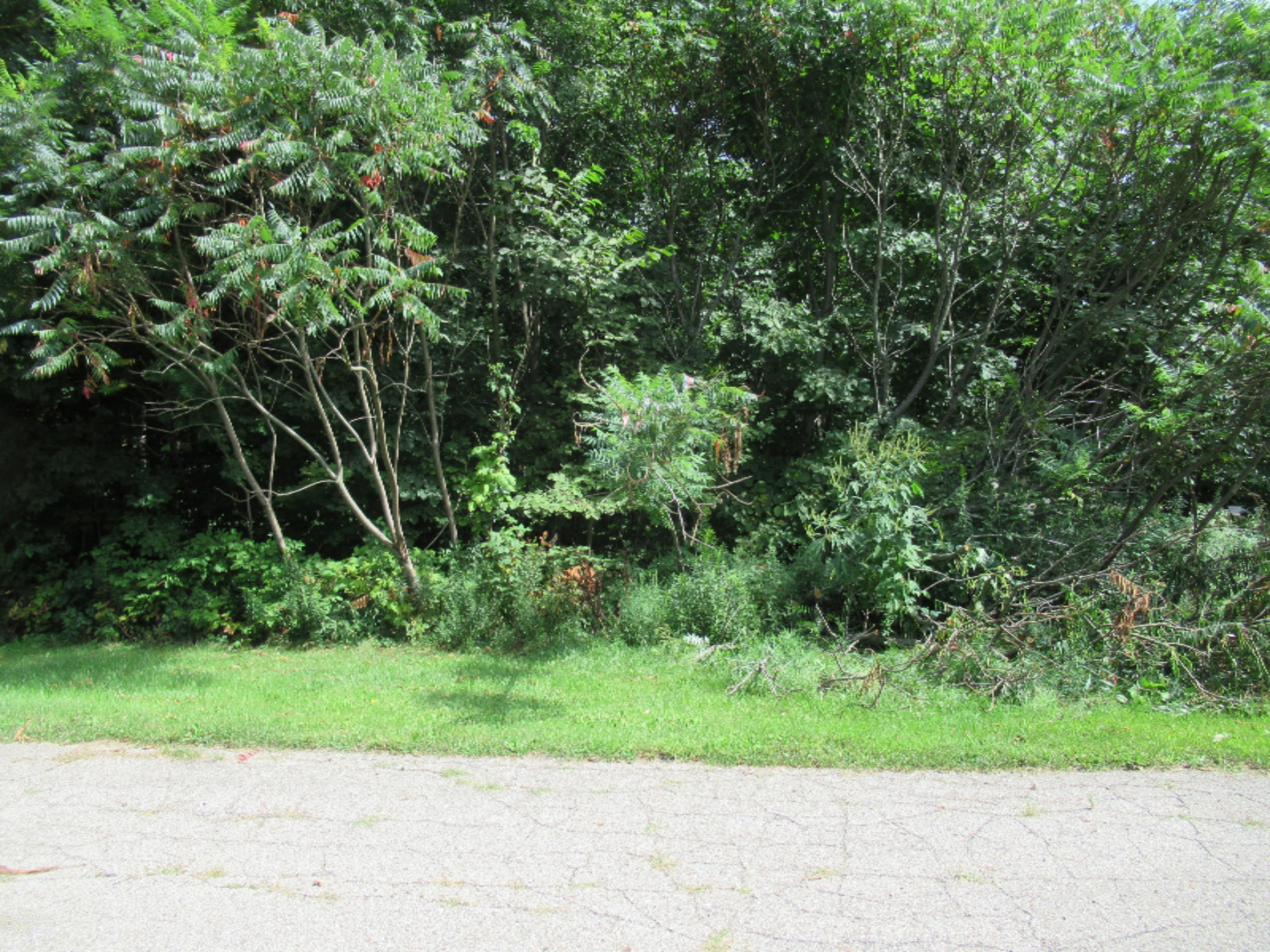 Tract 3 Deep Woods Drive Cassopolis MI 49031