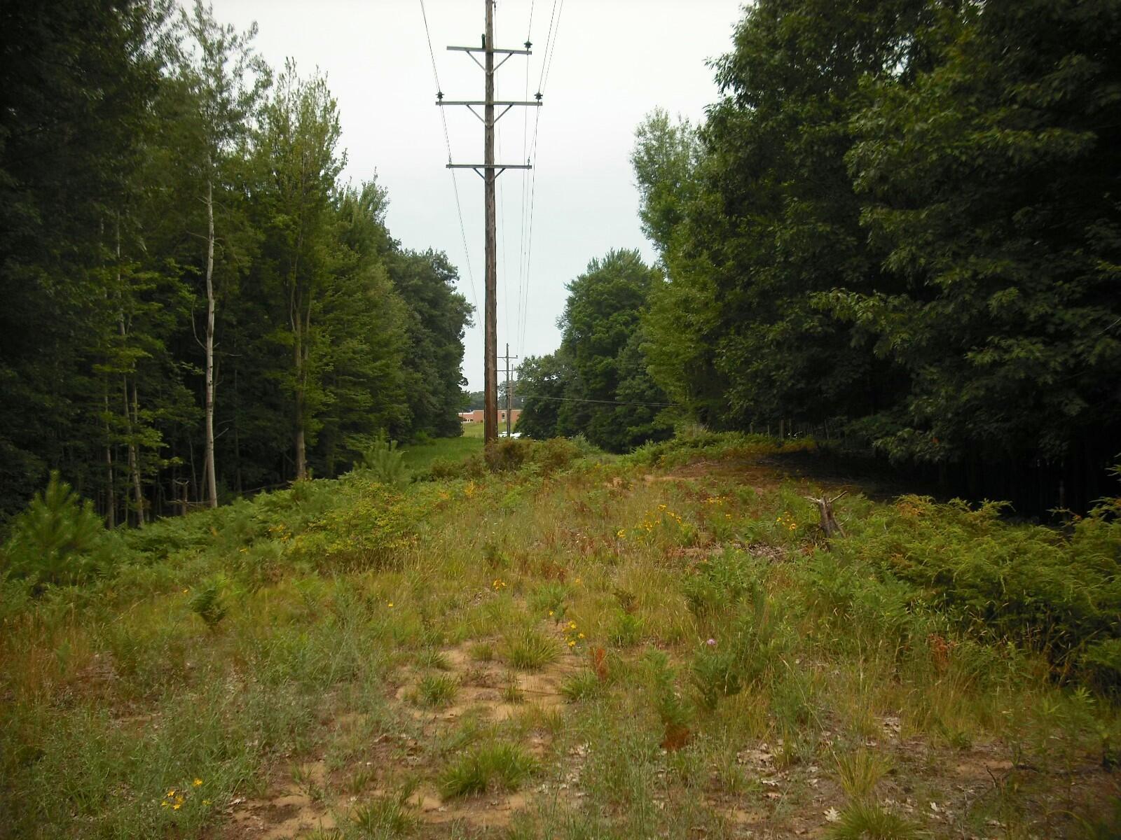 17078 Lake Michigan Drive West Olive MI 49460
