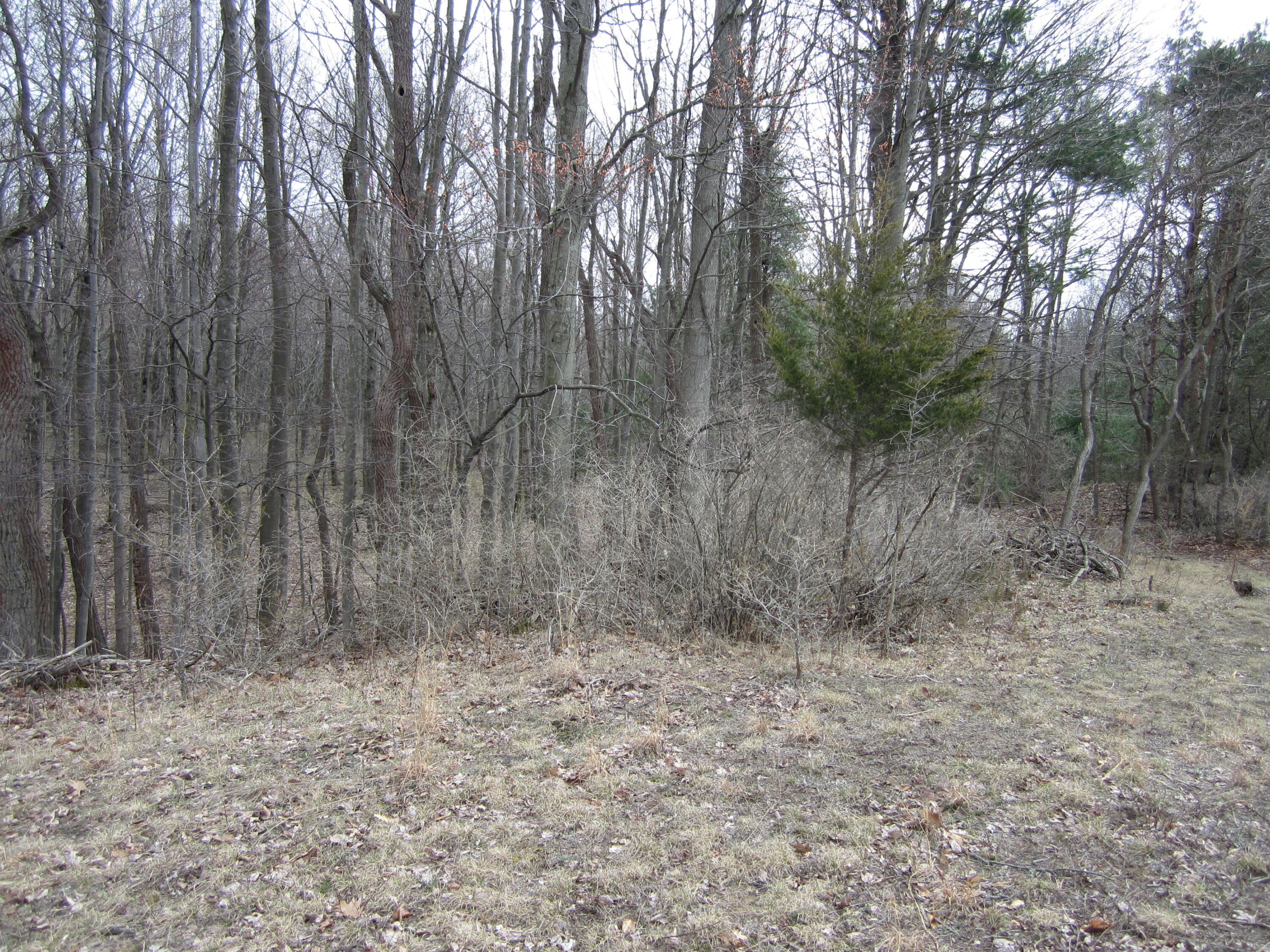 17078 Lake Michigan Drive West Olive MI 49460