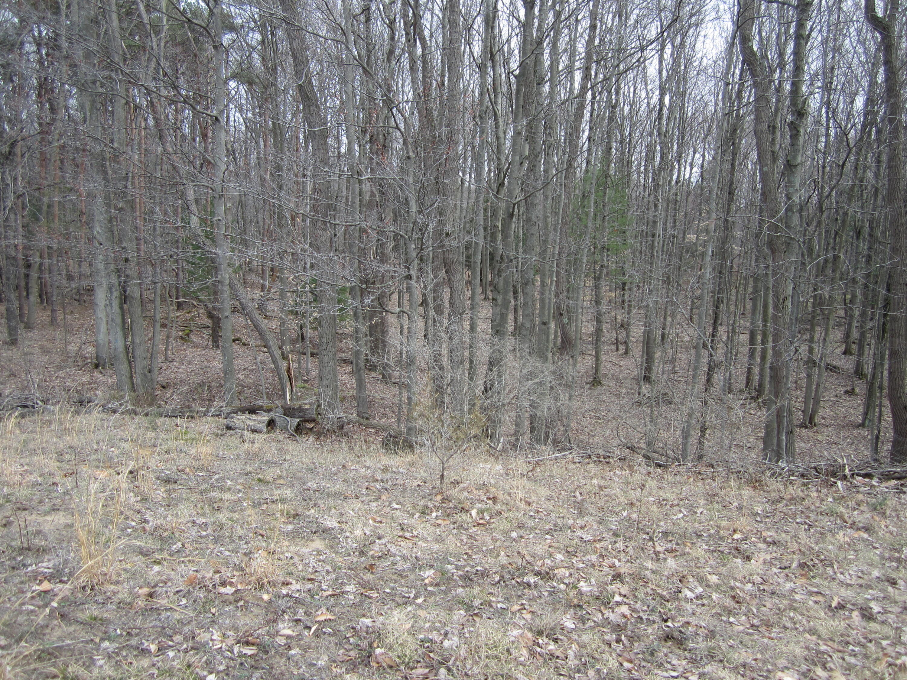 17078 Lake Michigan Drive West Olive MI 49460