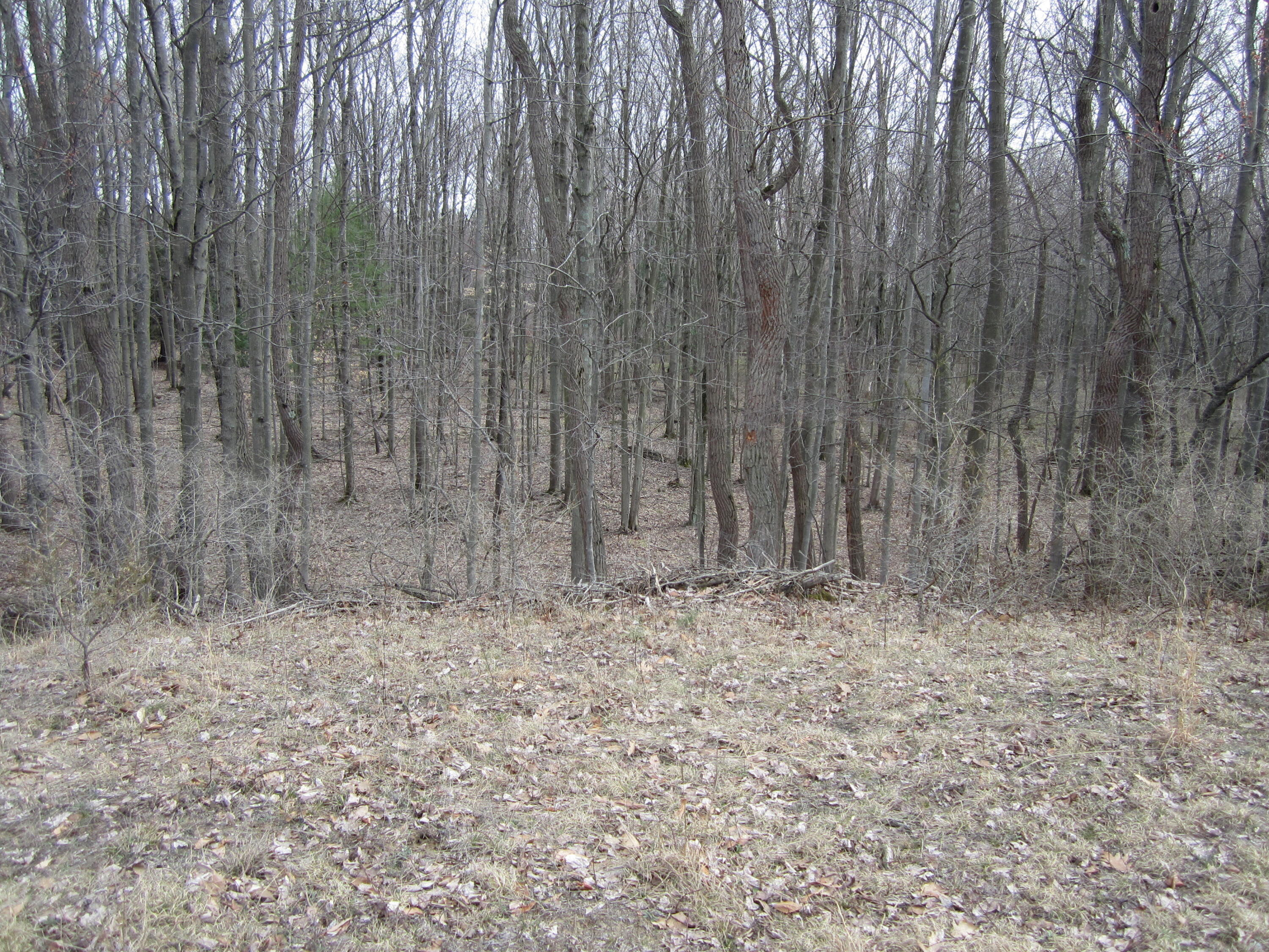 17078 Lake Michigan Drive West Olive MI 49460
