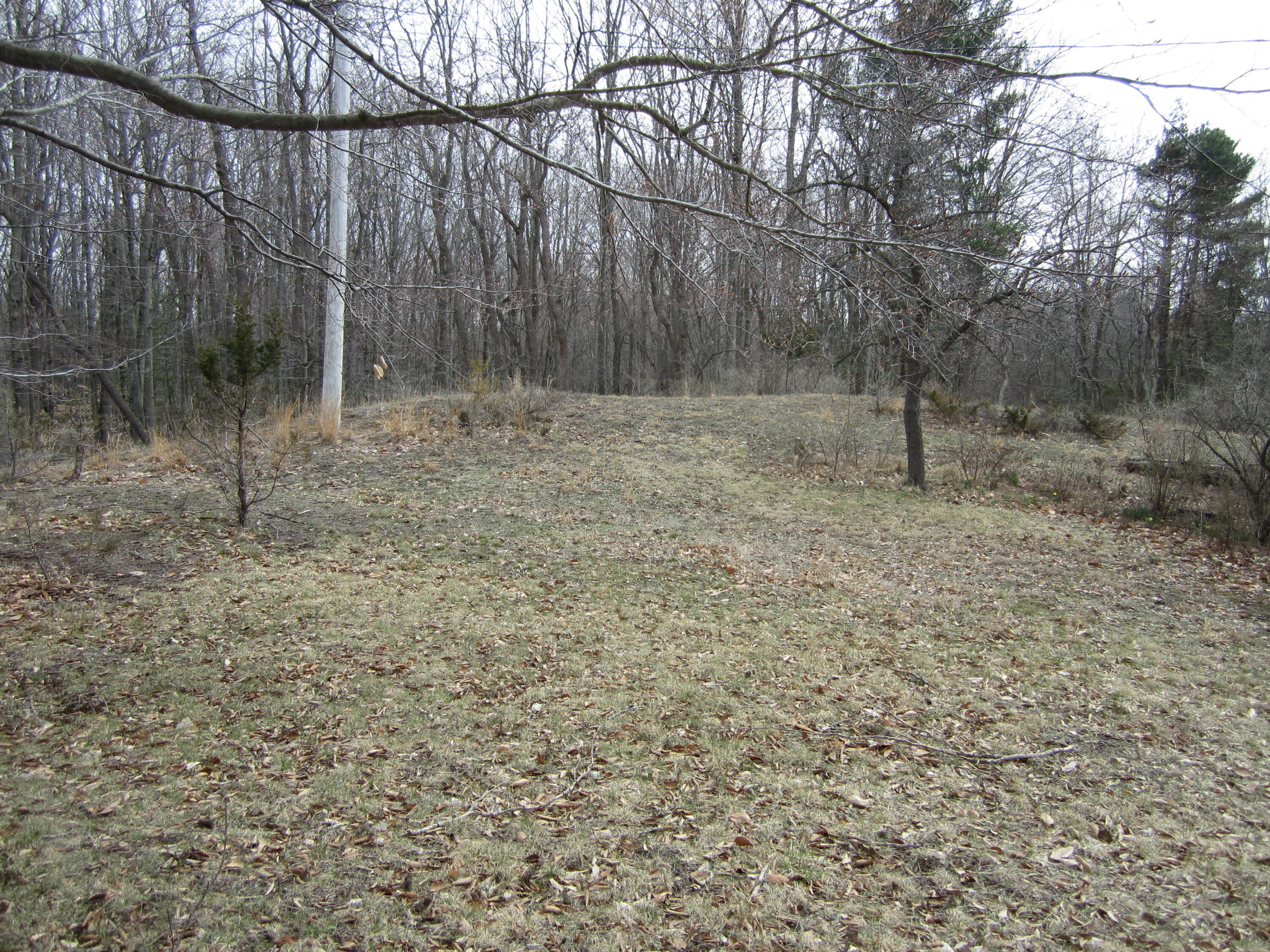 17078 Lake Michigan Drive West Olive MI 49460