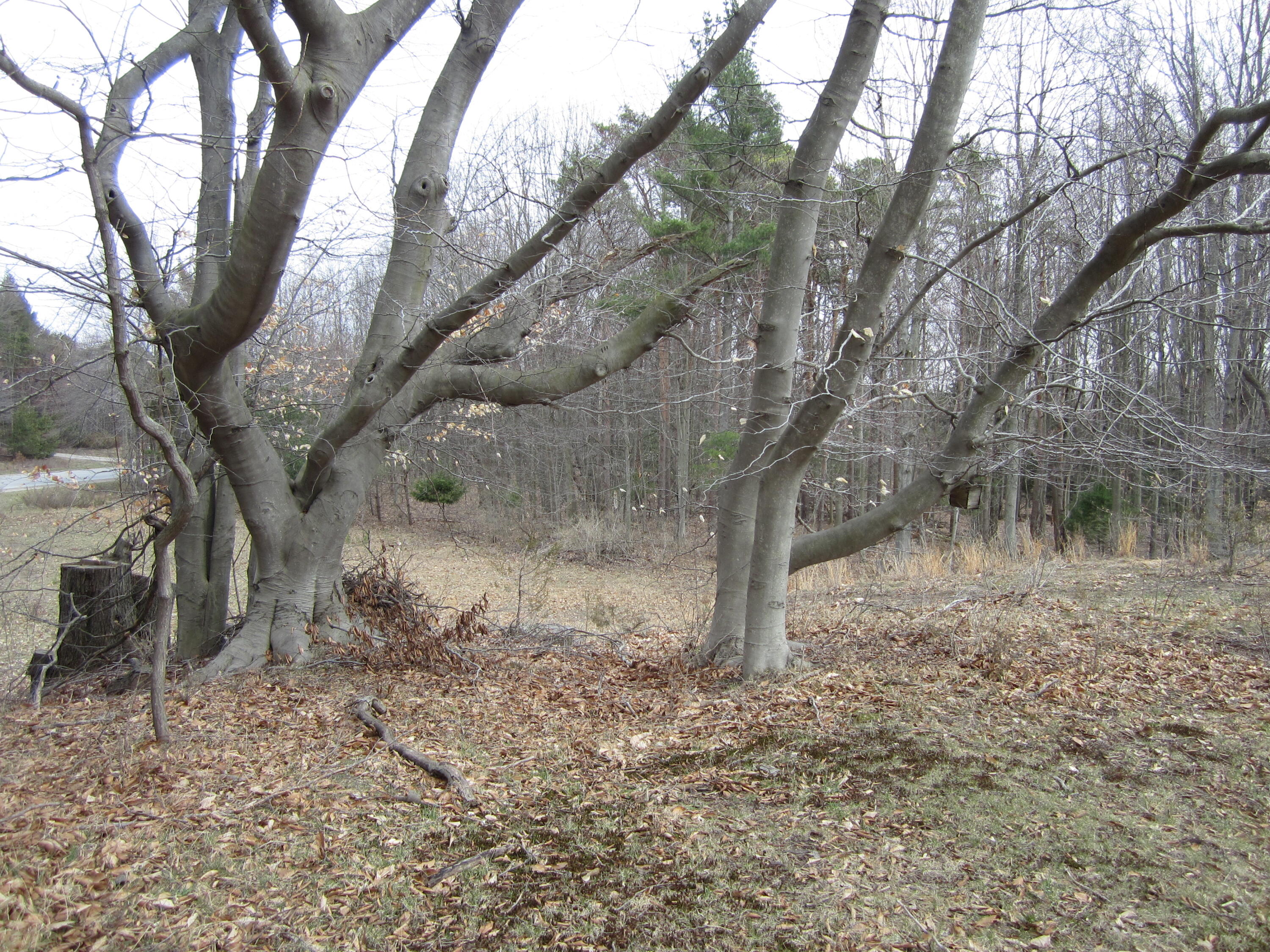 17078 Lake Michigan Drive West Olive MI 49460