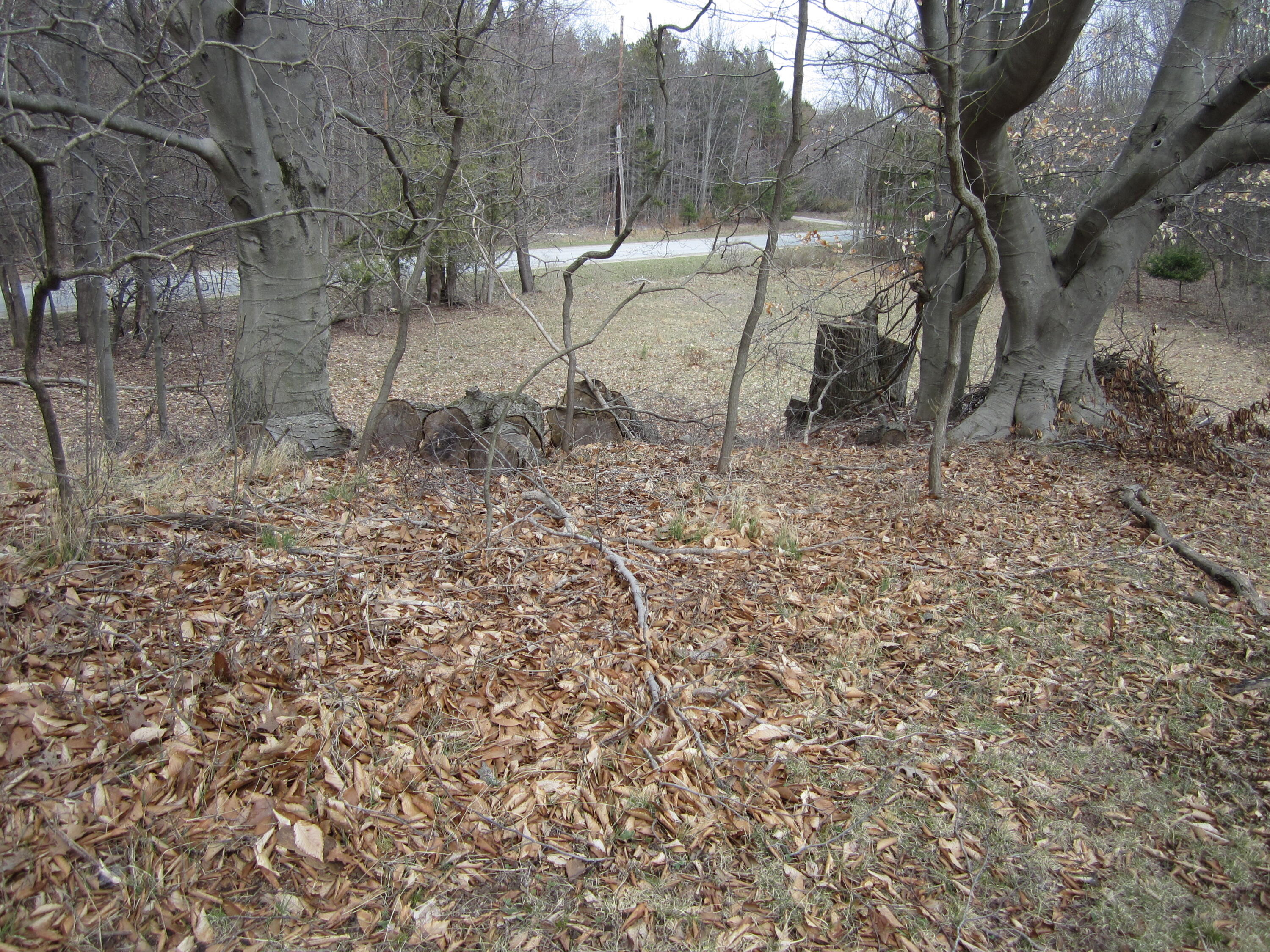 17078 Lake Michigan Drive West Olive MI 49460