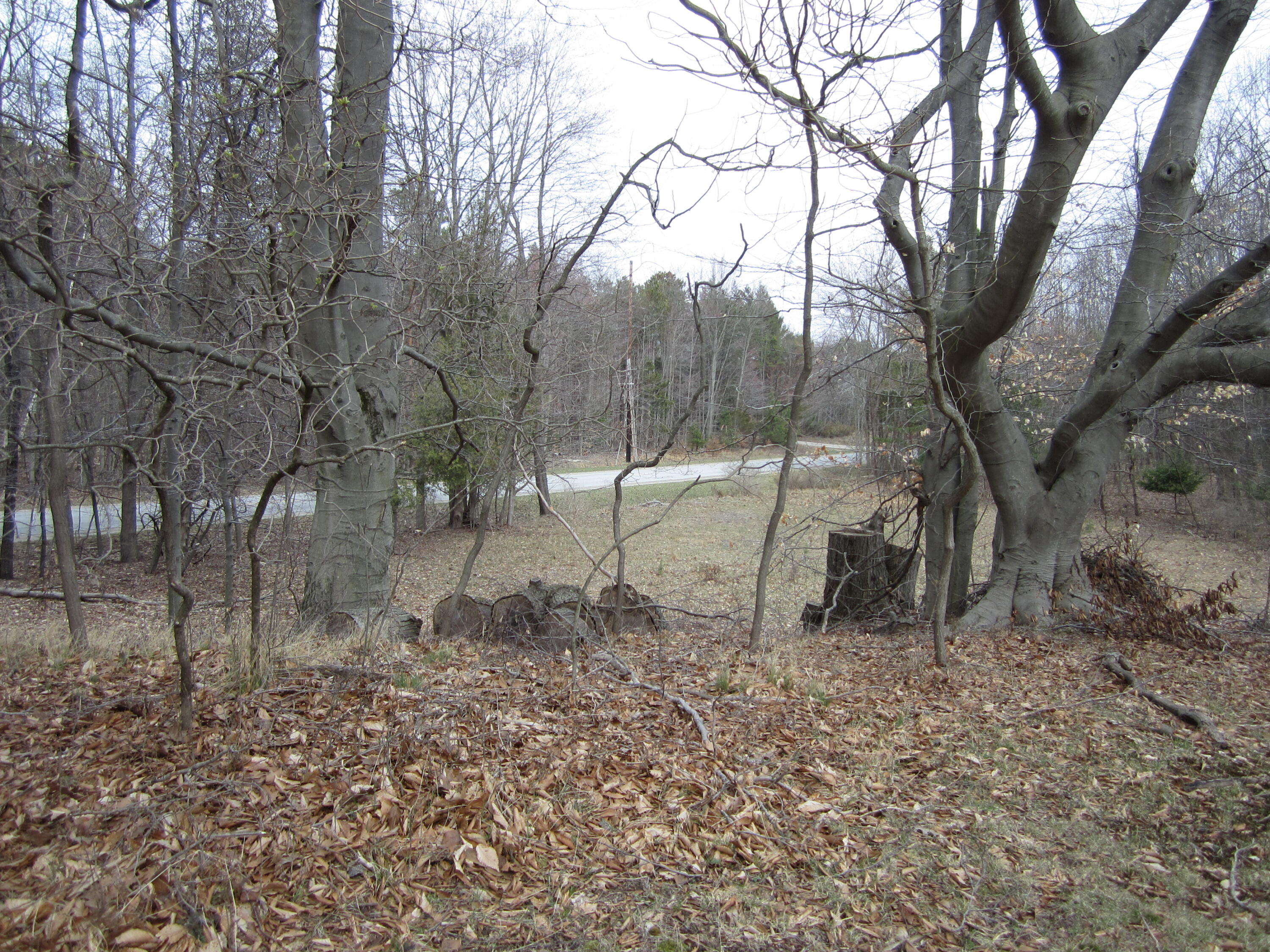 17078 Lake Michigan Drive West Olive MI 49460