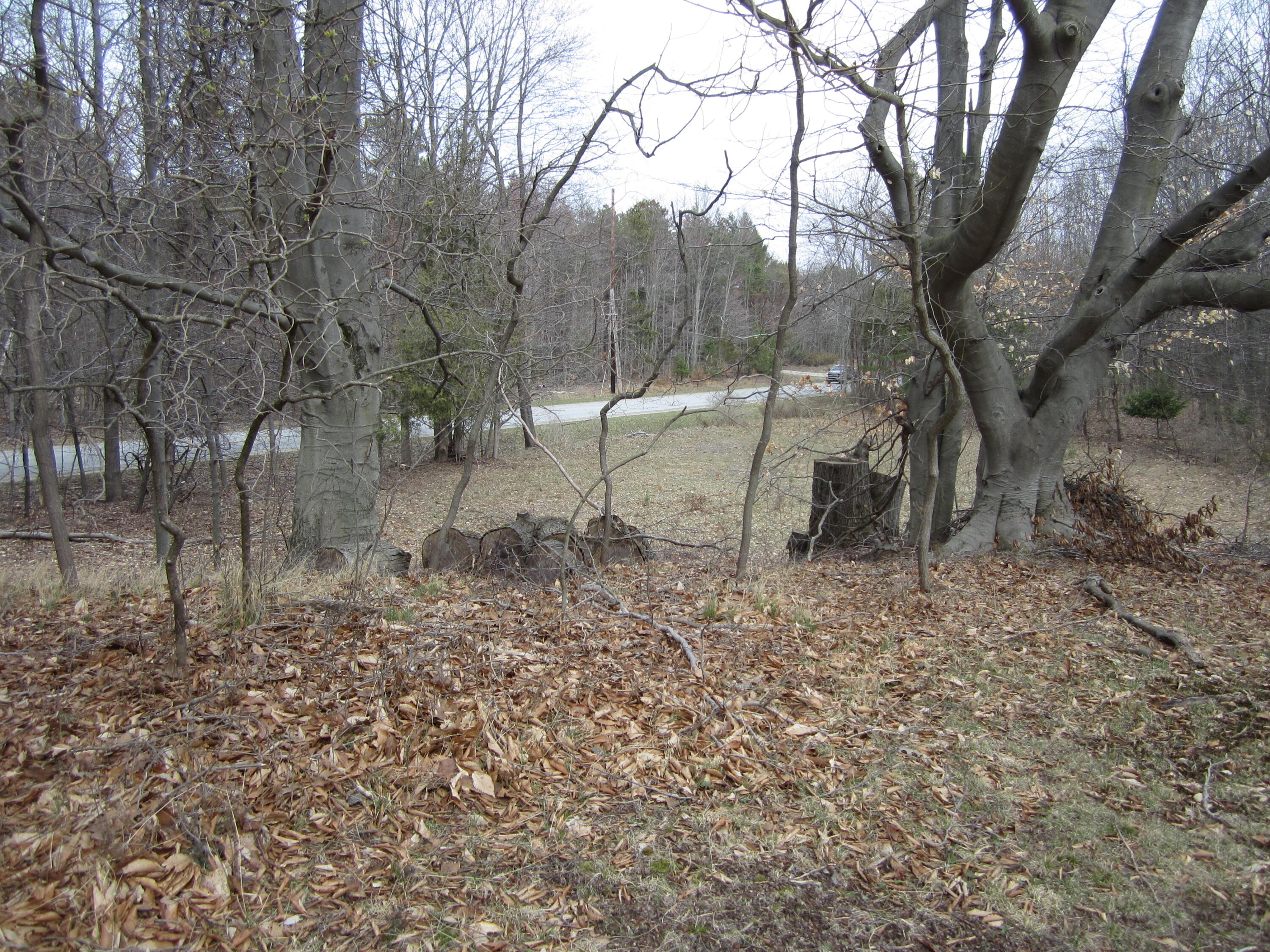 17078 Lake Michigan Drive West Olive MI 49460