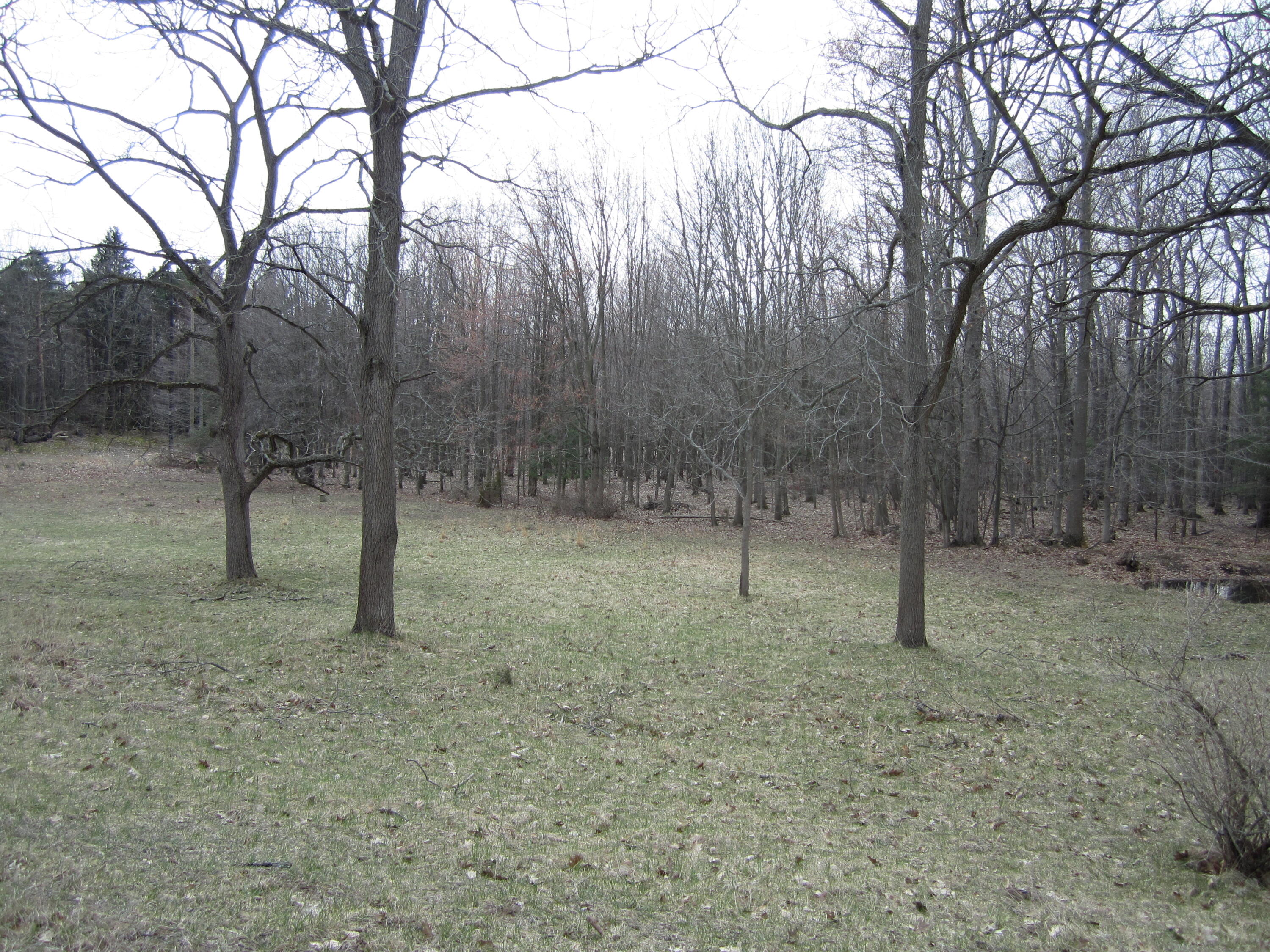 17078 Lake Michigan Drive West Olive MI 49460