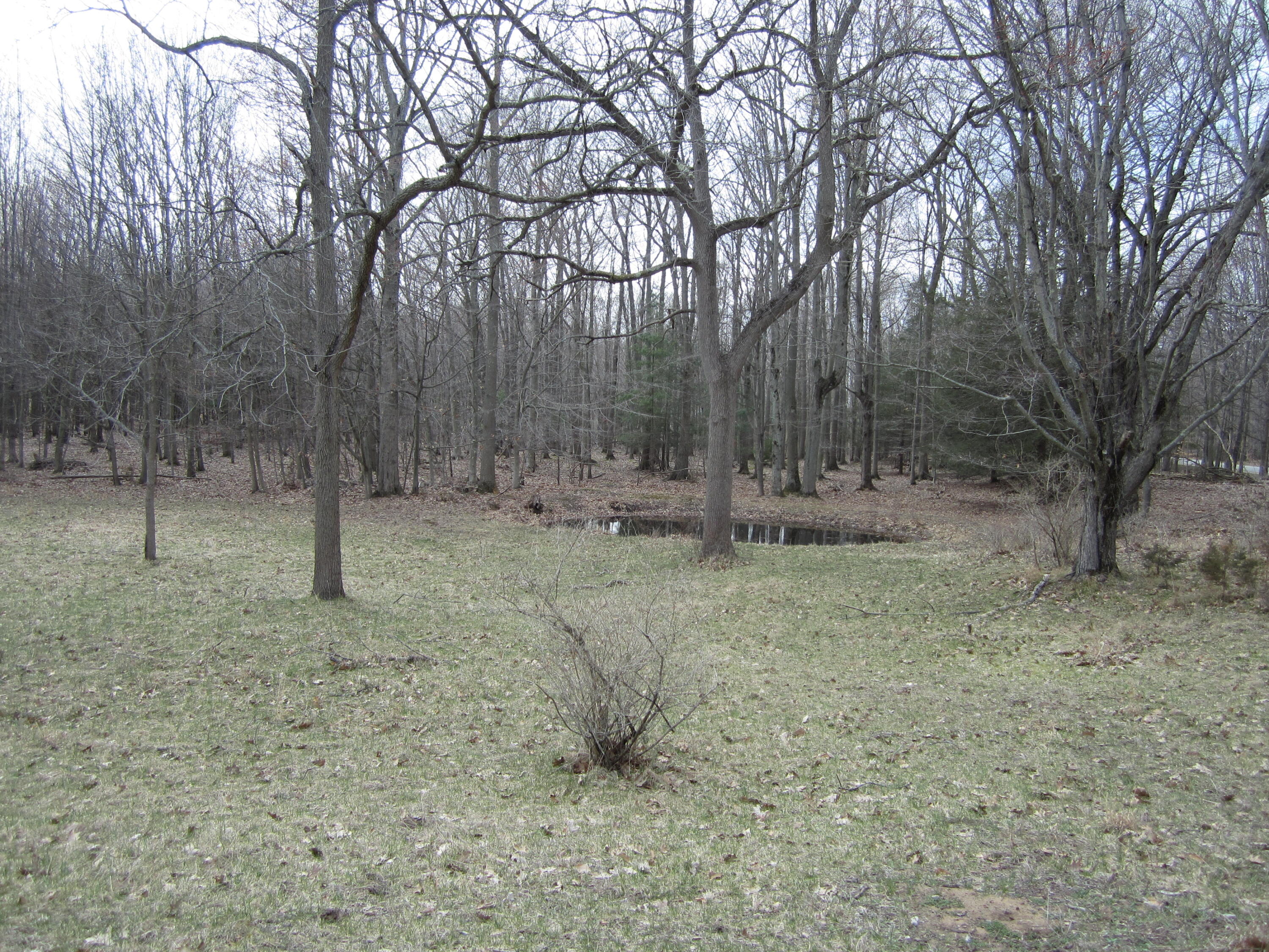 17078 Lake Michigan Drive West Olive MI 49460