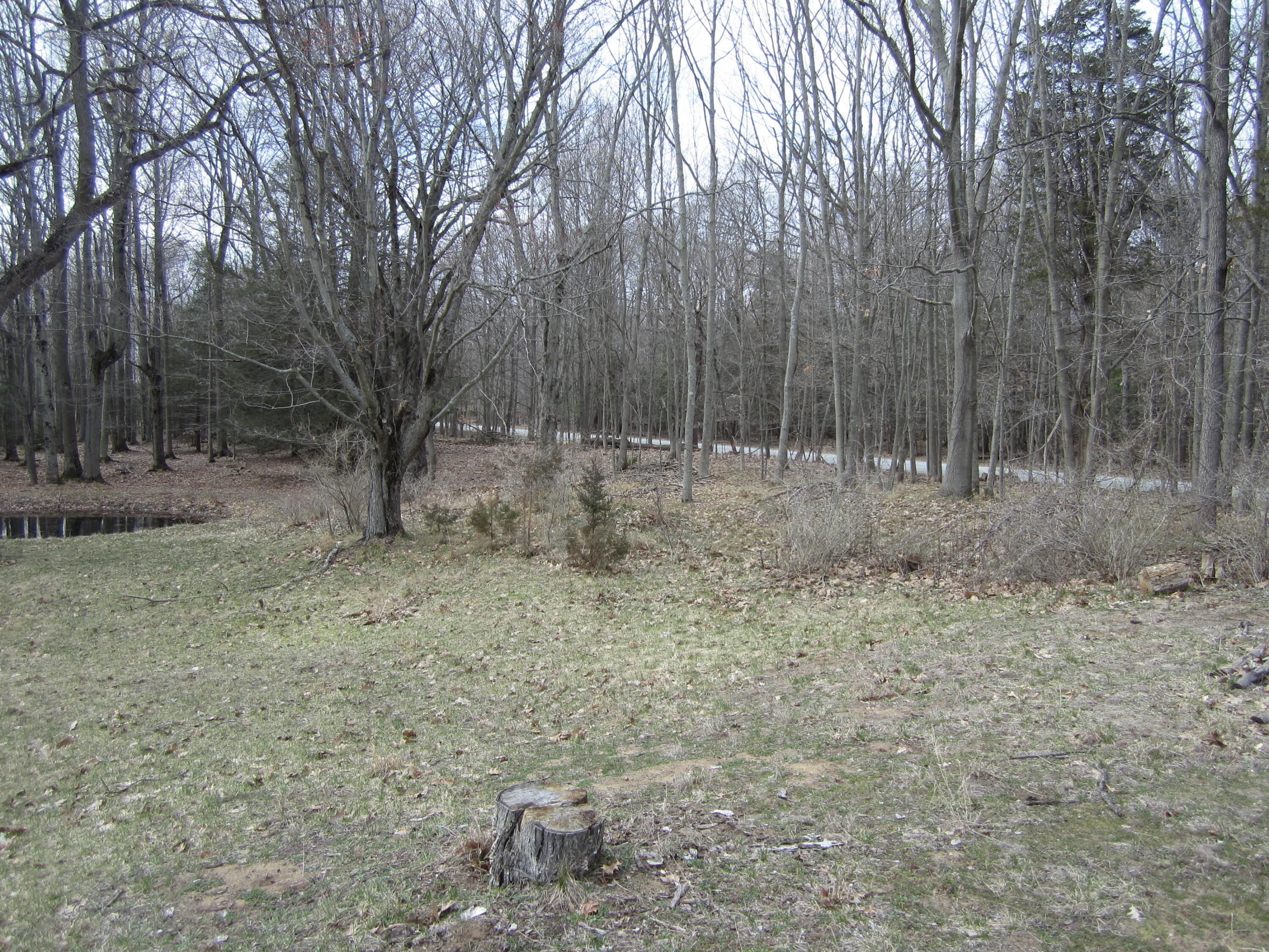 17078 Lake Michigan Drive West Olive MI 49460