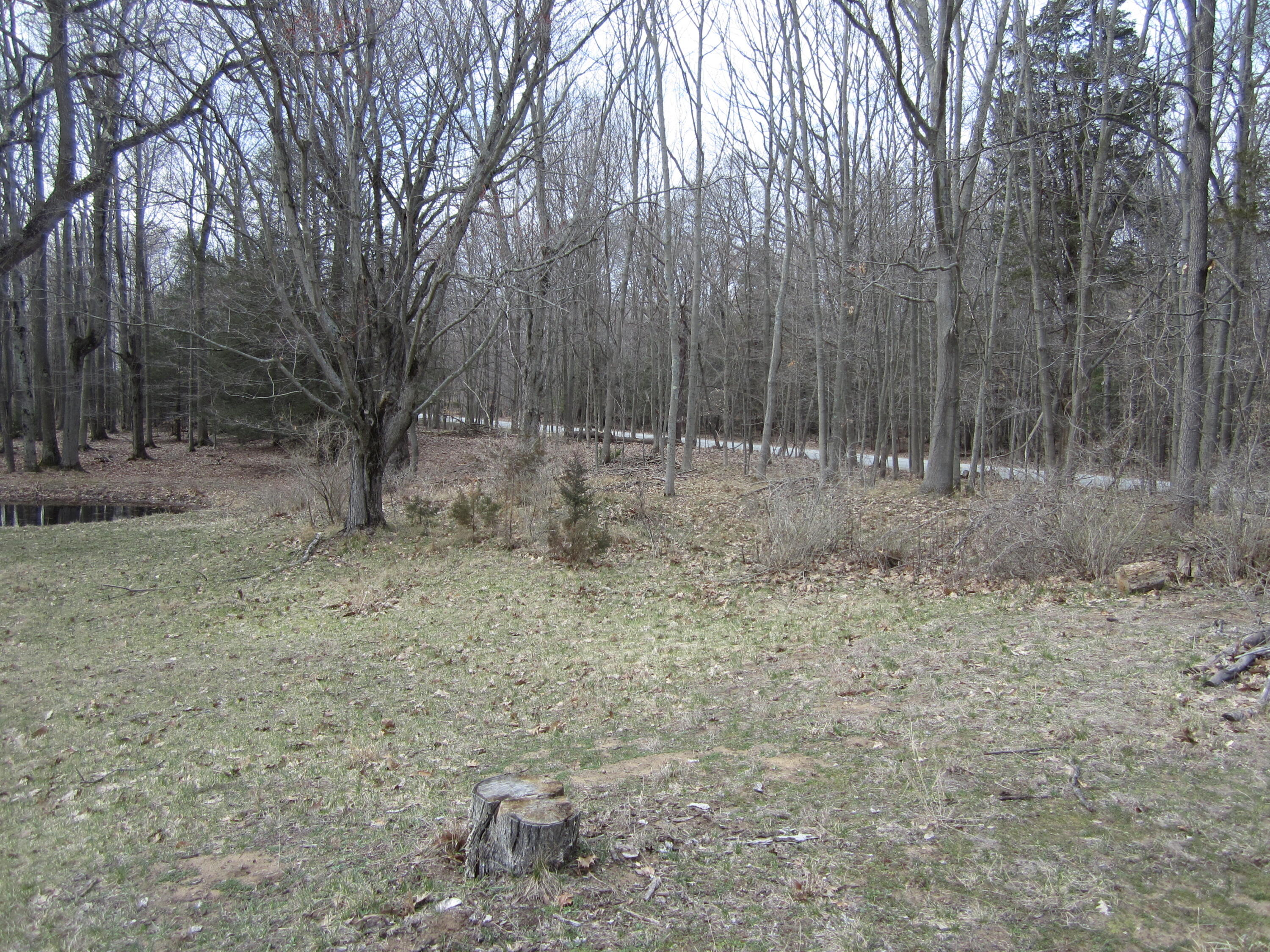 17078 Lake Michigan Drive West Olive MI 49460
