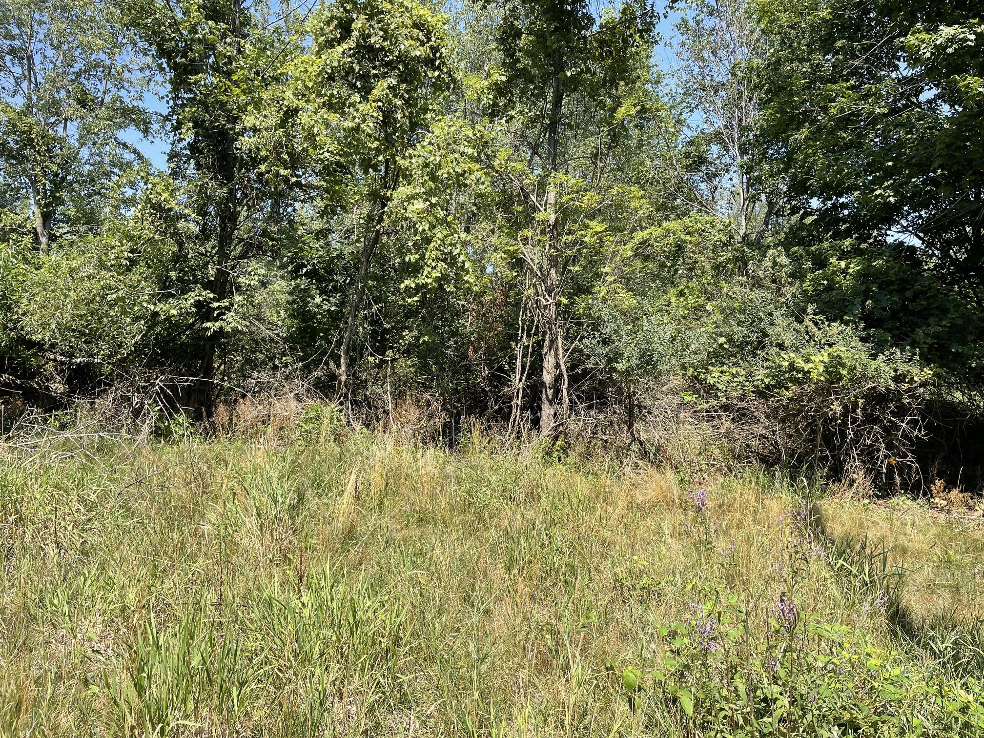6893 Wiley Road Fennville MI 49408