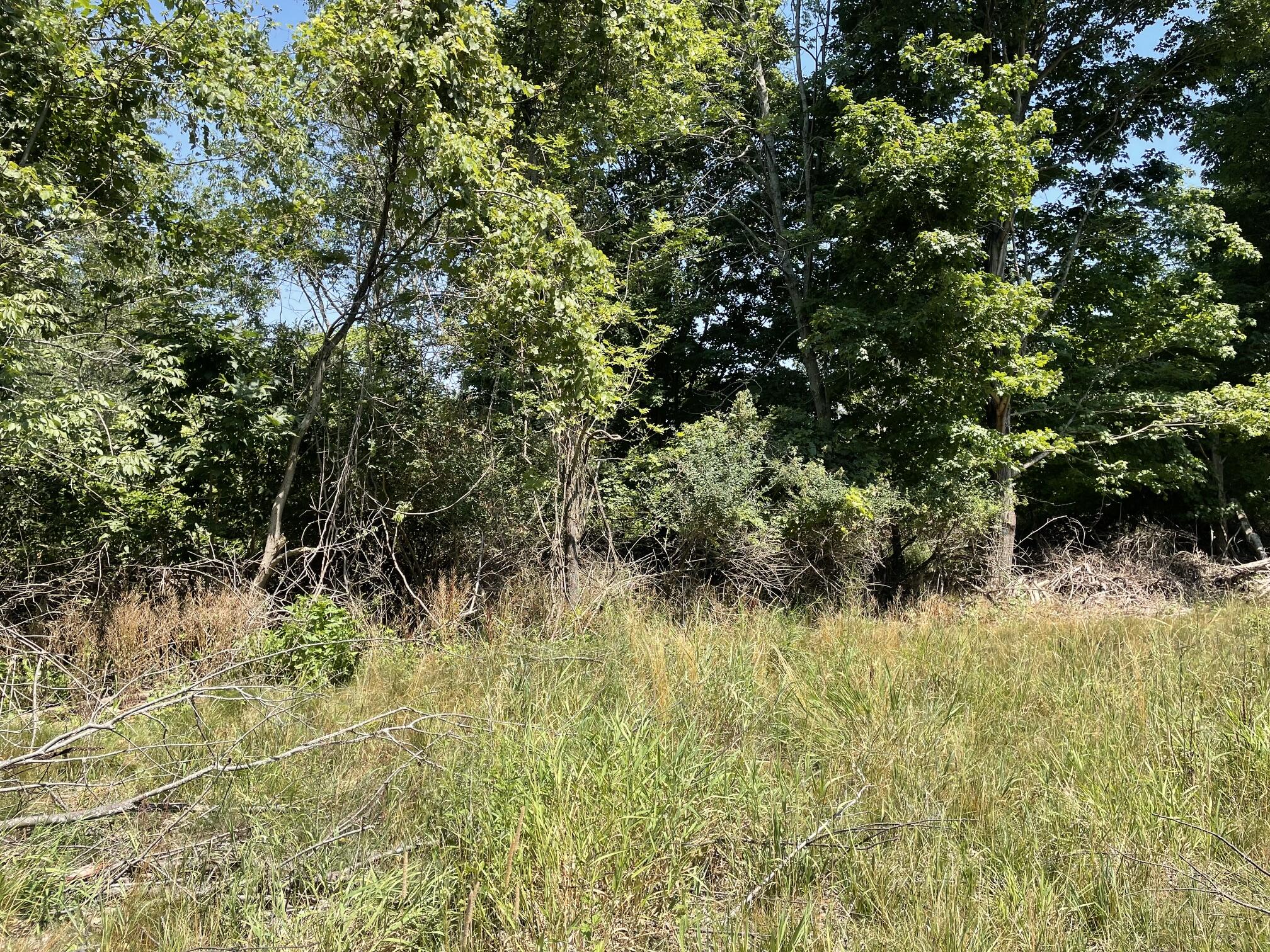 6893 Wiley Road Fennville MI 49408