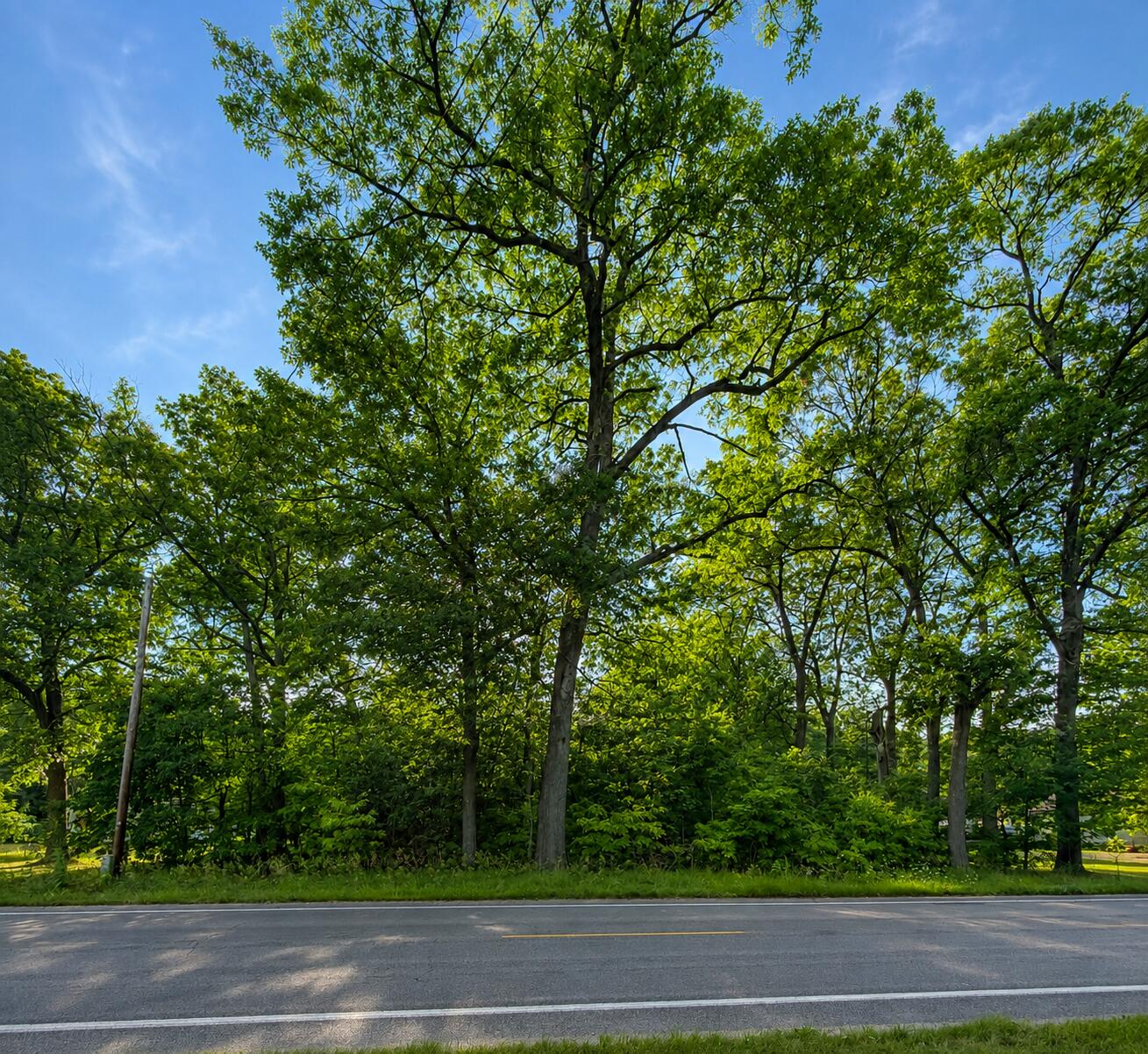 S Mill Iron Road Muskegon MI 49442