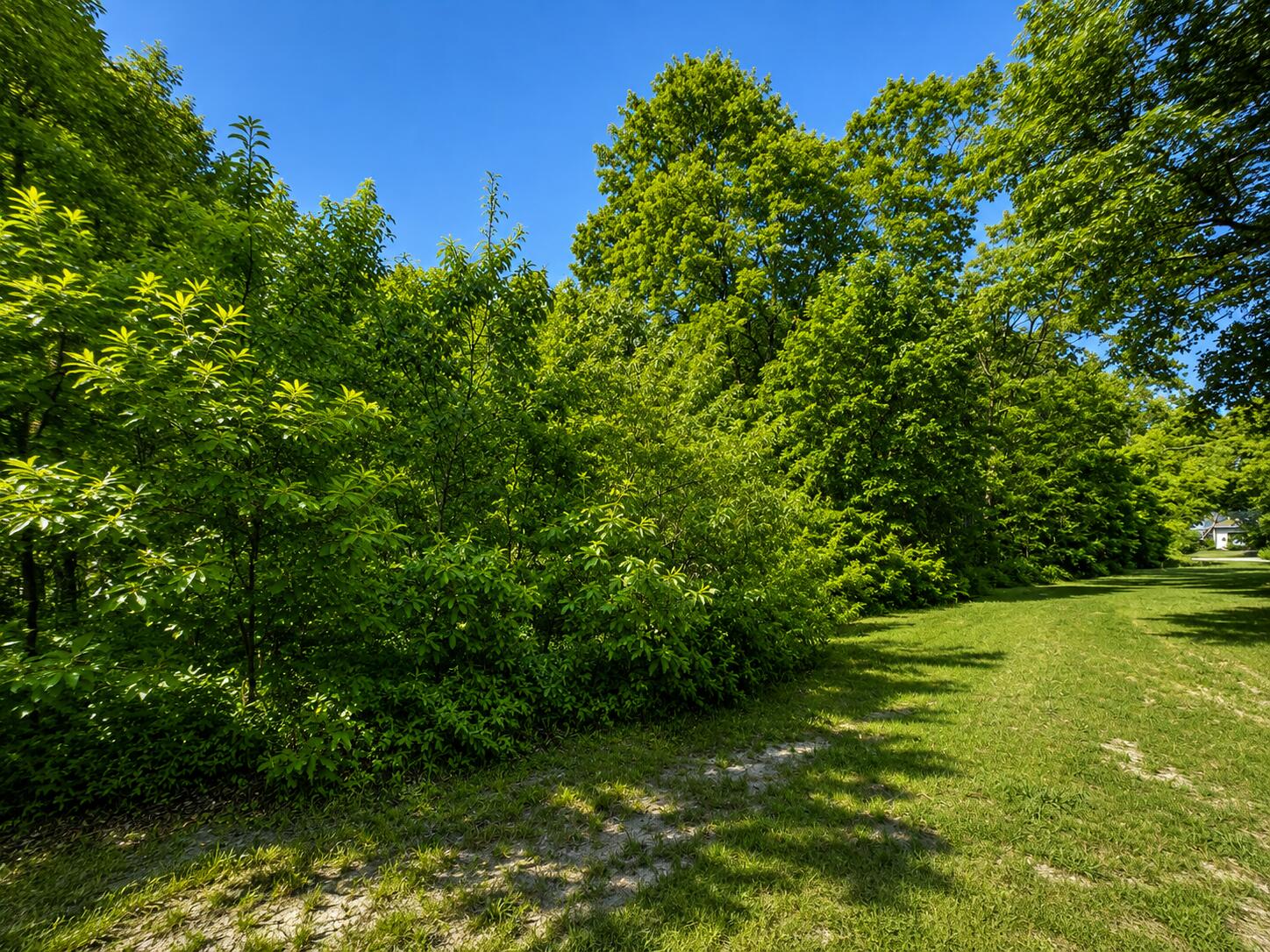 S Mill Iron Road Muskegon MI 49442