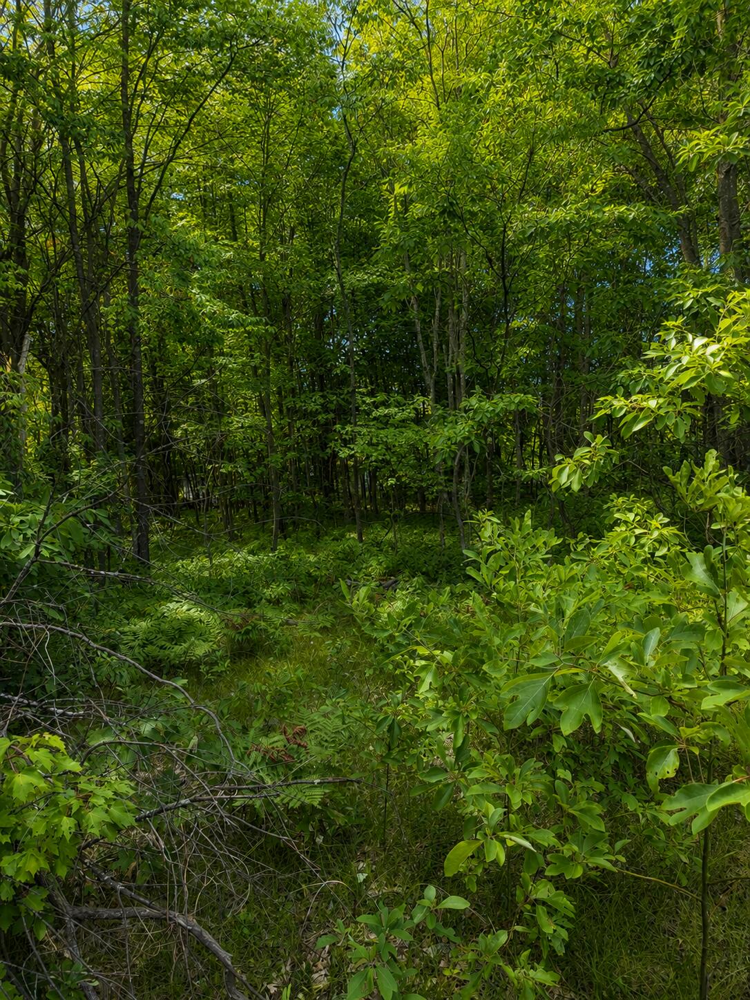 S Mill Iron Road Muskegon MI 49442