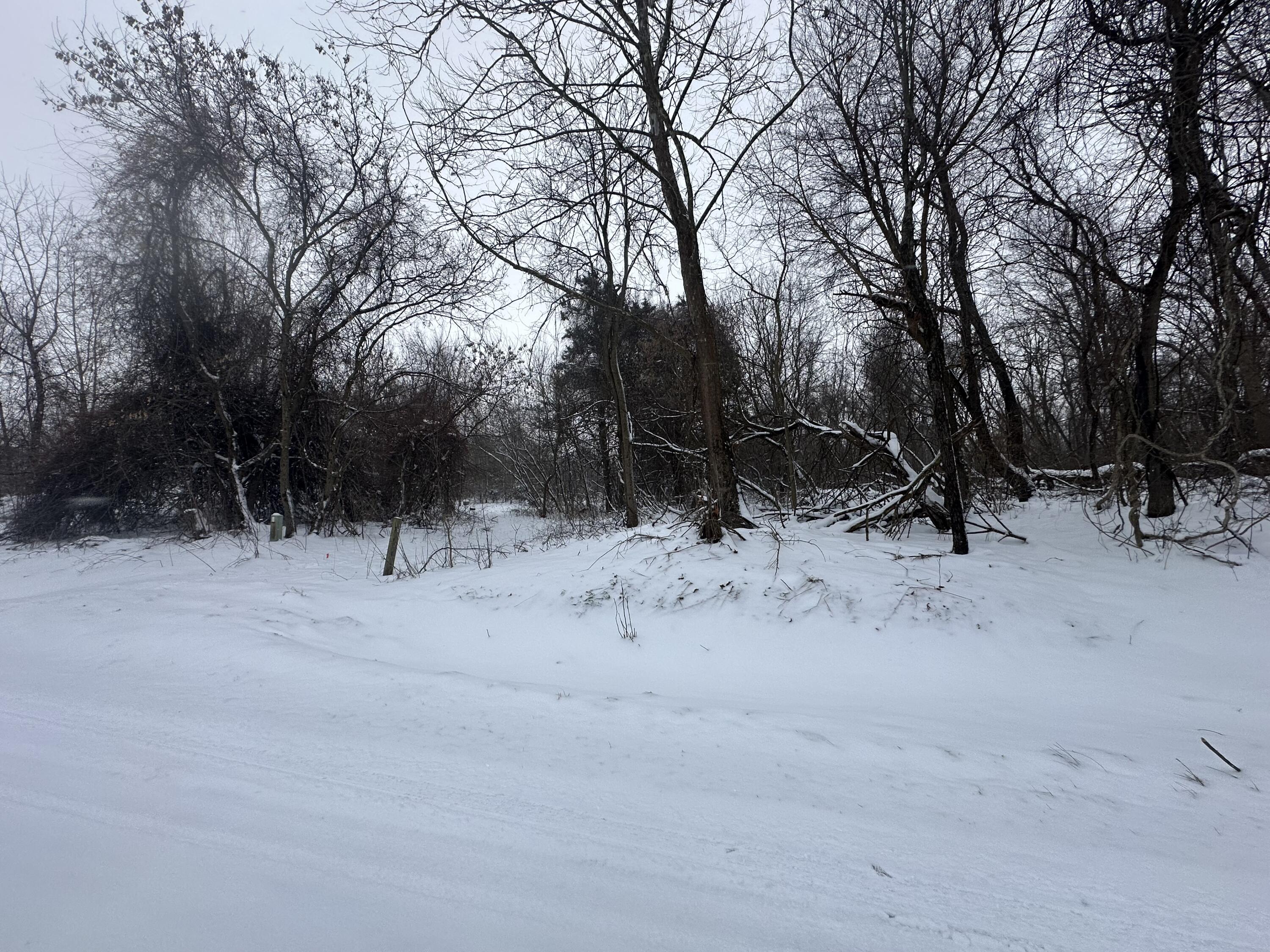 Ville Mount Zion Street Cassopolis MI 49031