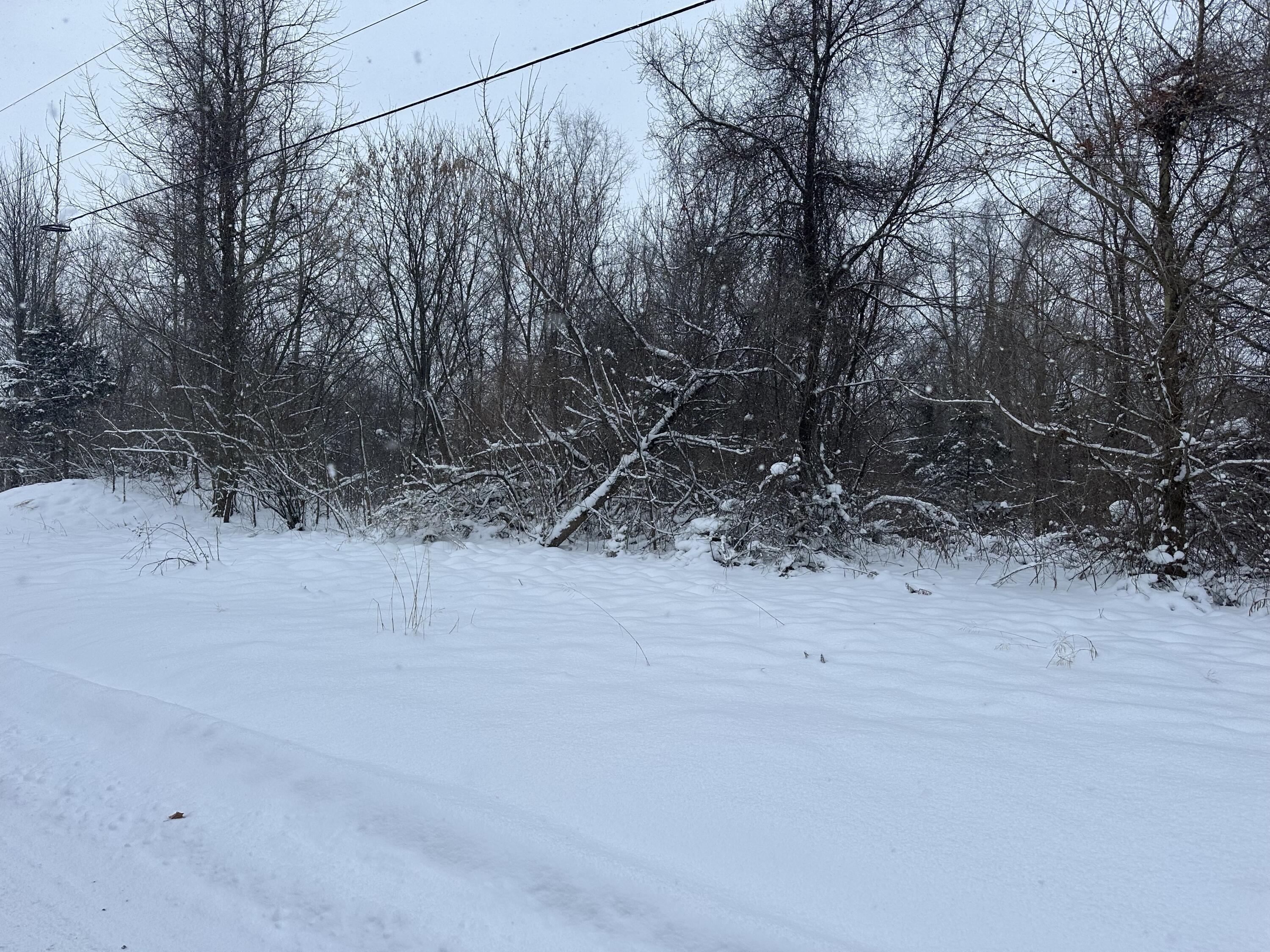 Ville Mount Zion Street Cassopolis MI 49031