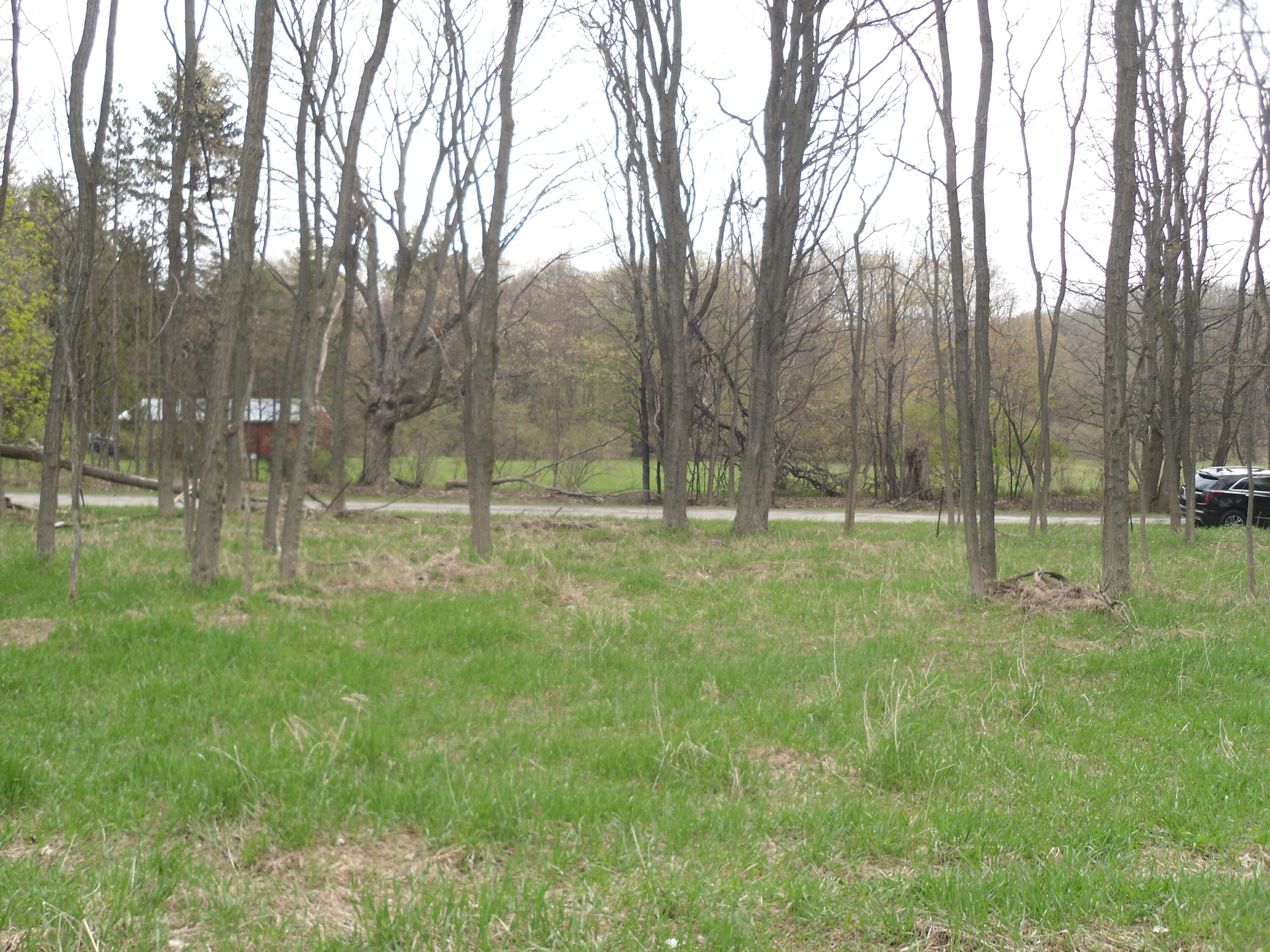 S Lakeshore Drive S Ludington MI 49431