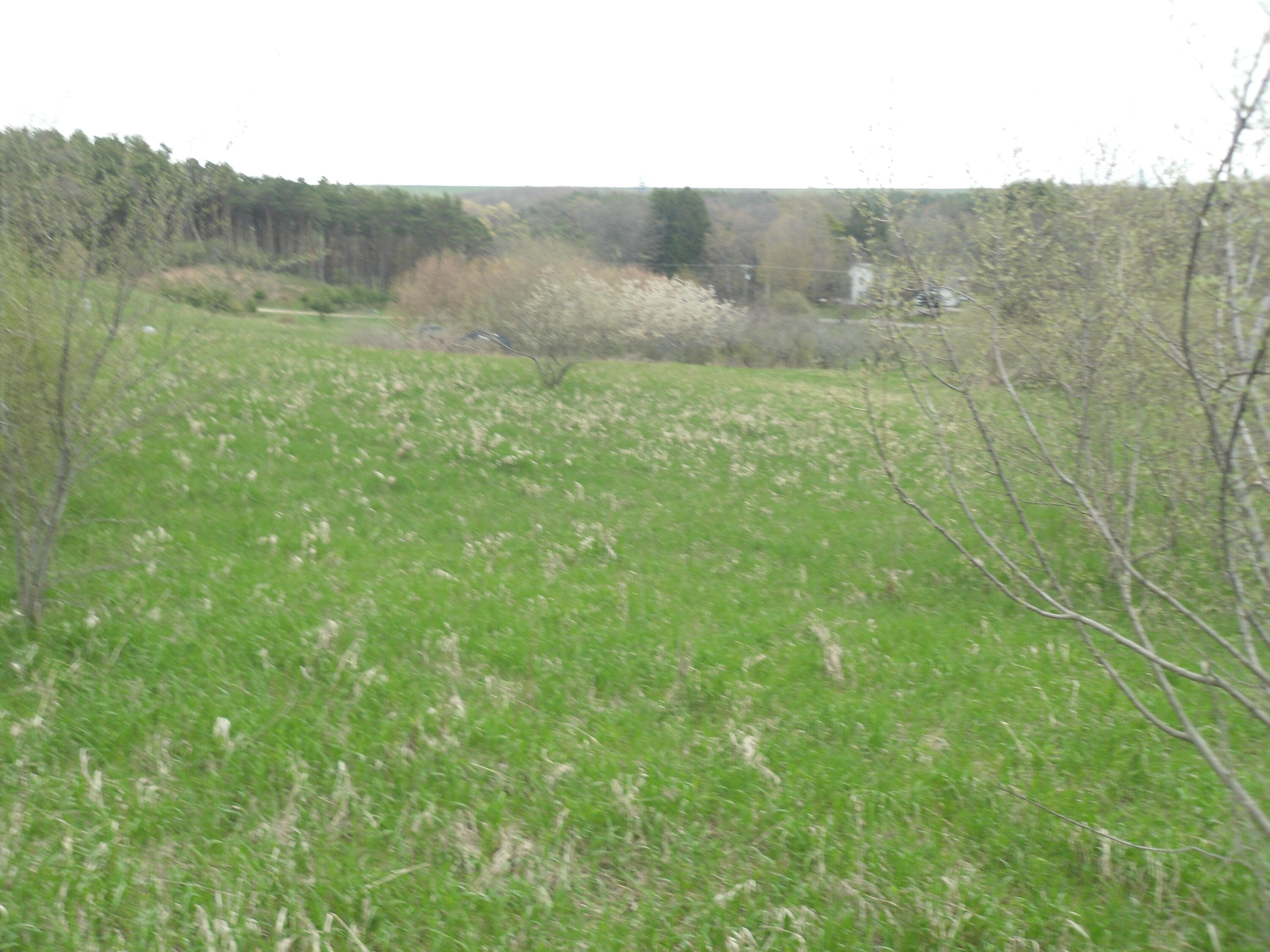 S Lakeshore Drive S Ludington MI 49431