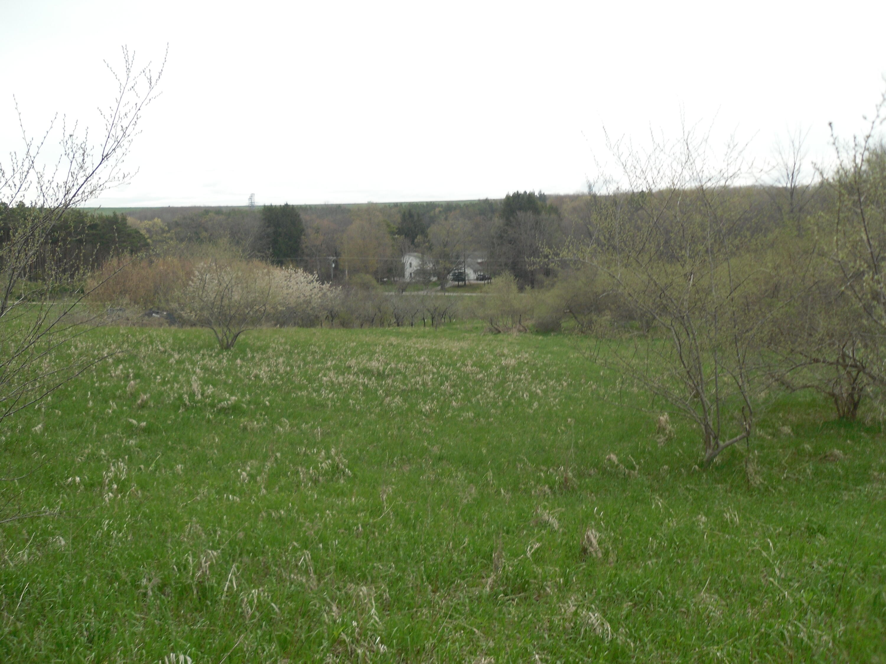 S Lakeshore Drive S Ludington MI 49431