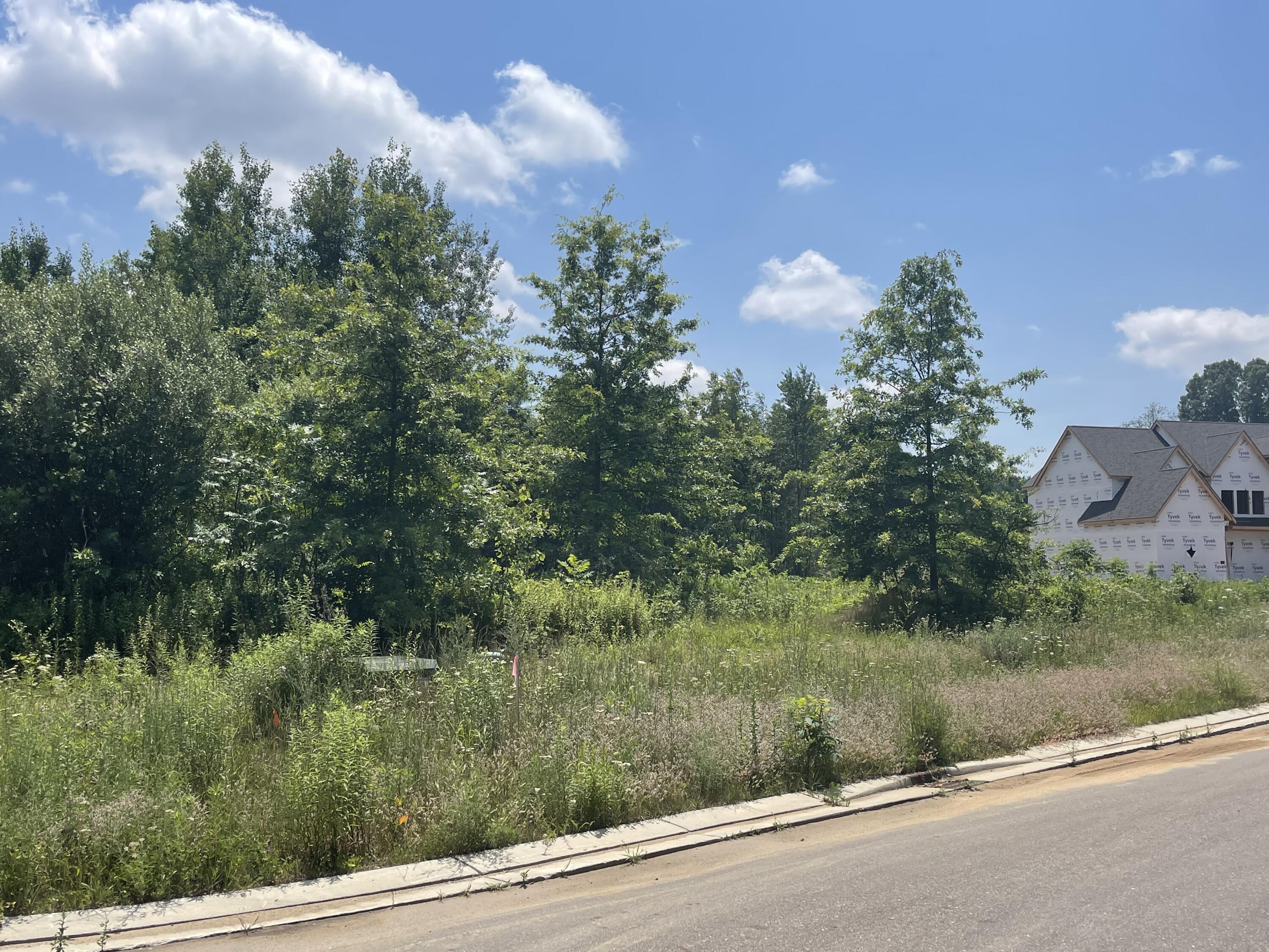 Lot 44 Foxboro Court Niles MI 49120