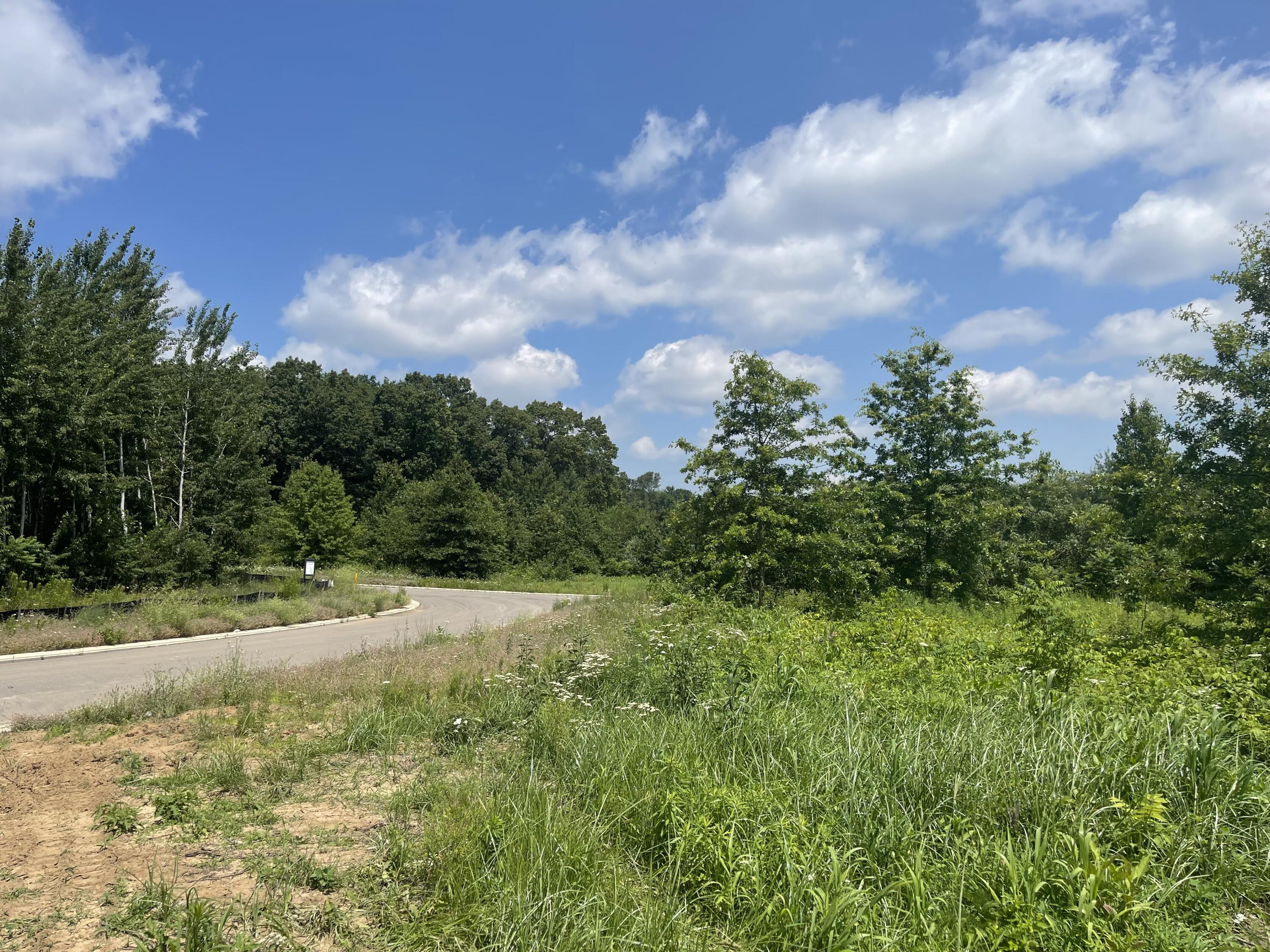 Lot 44 Foxboro Court Niles MI 49120