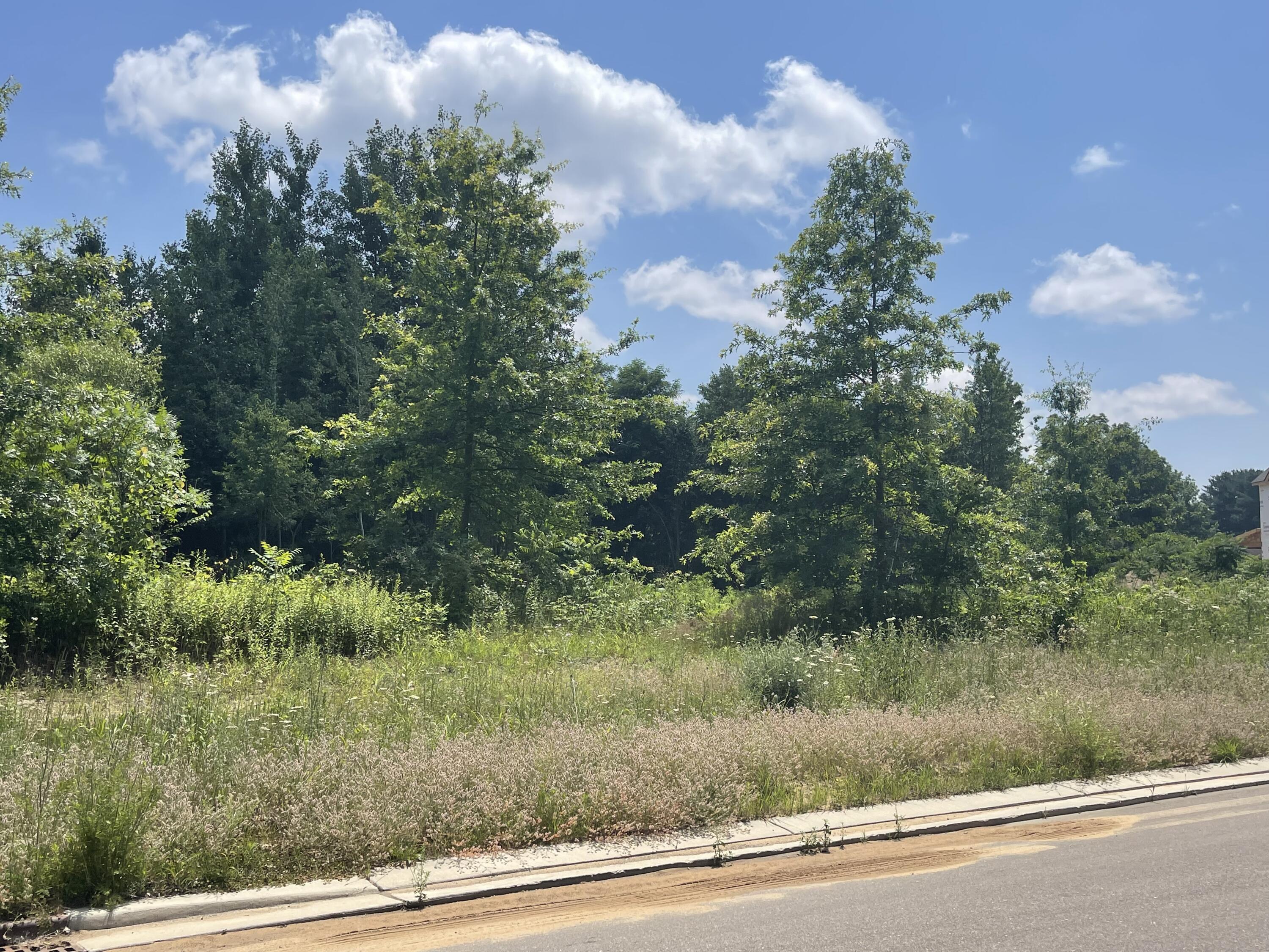 Lot 44 Foxboro Court Niles MI 49120