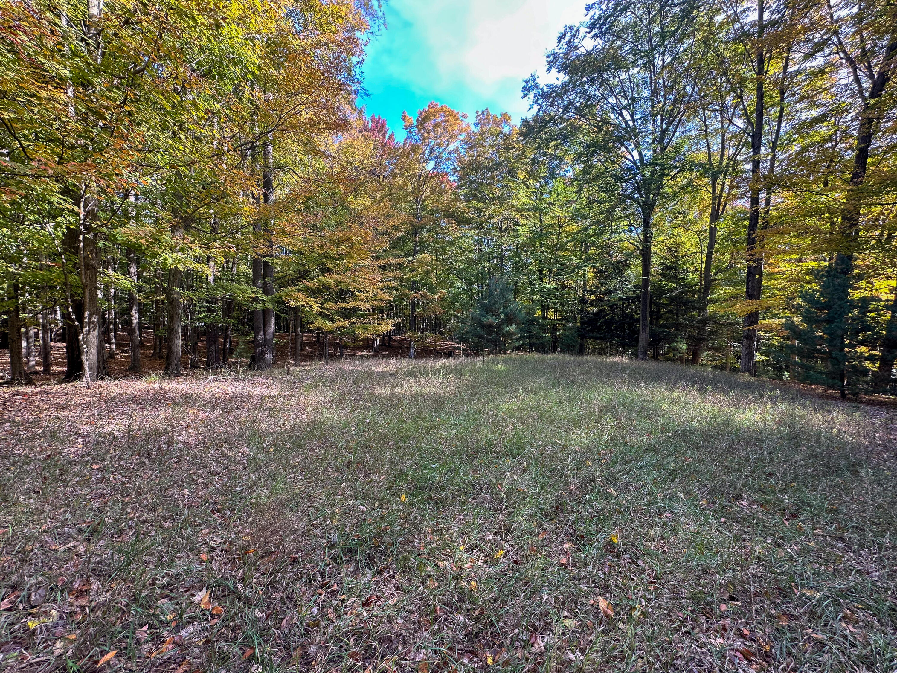 2330 N Peterson Road Ludington MI 49431