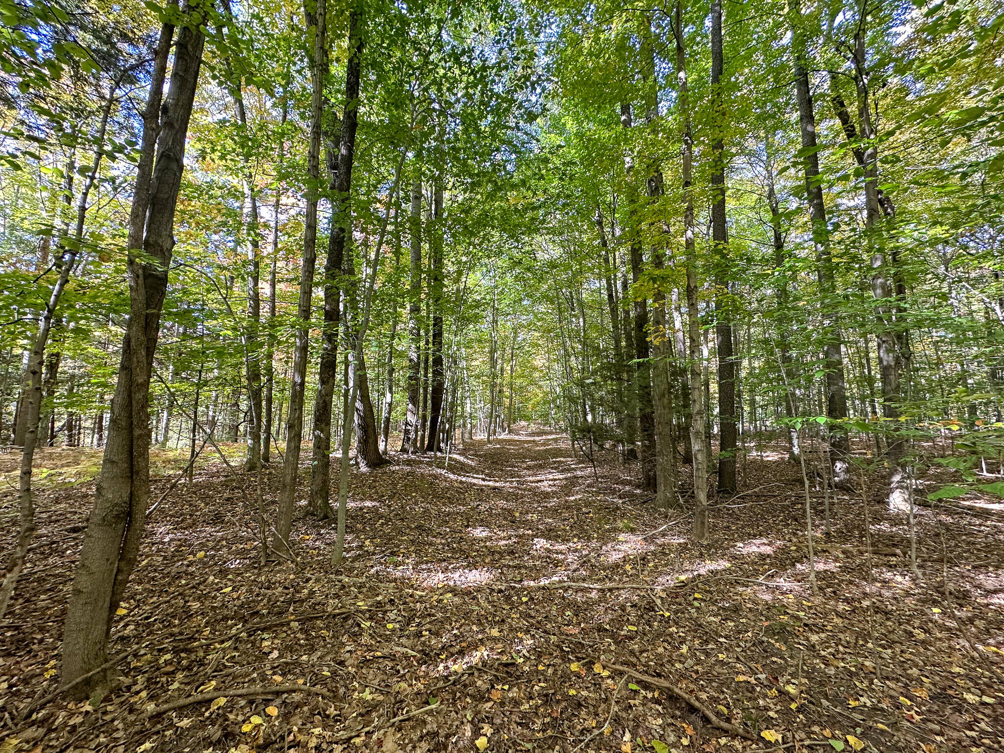 2330 N Peterson Road Ludington MI 49431