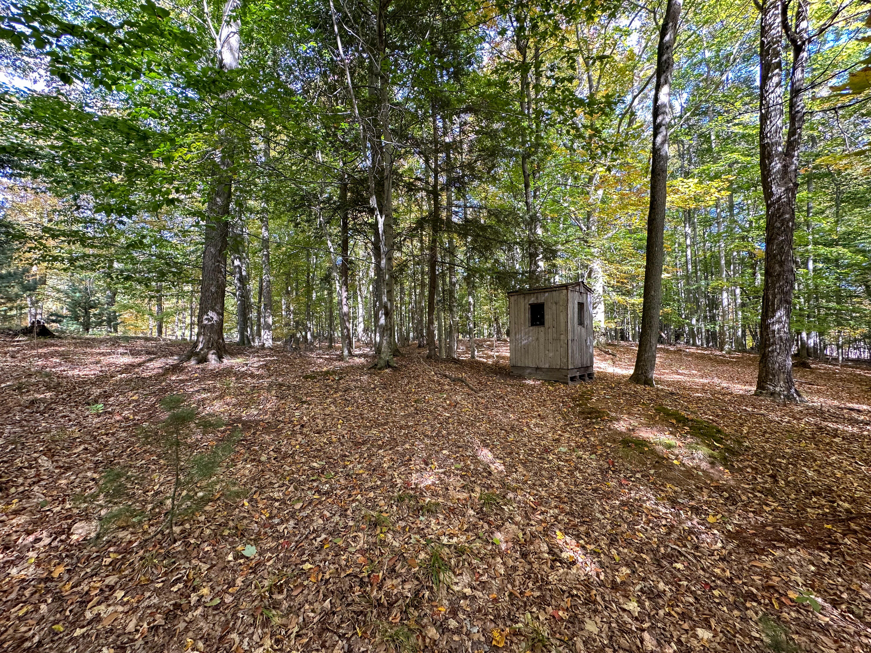 2330 N Peterson Road Ludington MI 49431