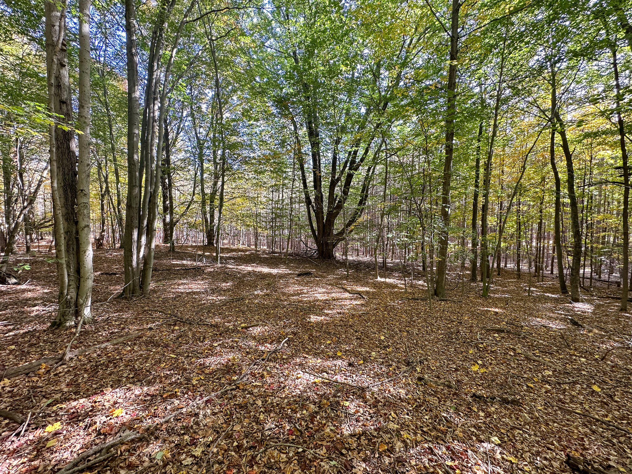 2330 N Peterson Road Ludington MI 49431