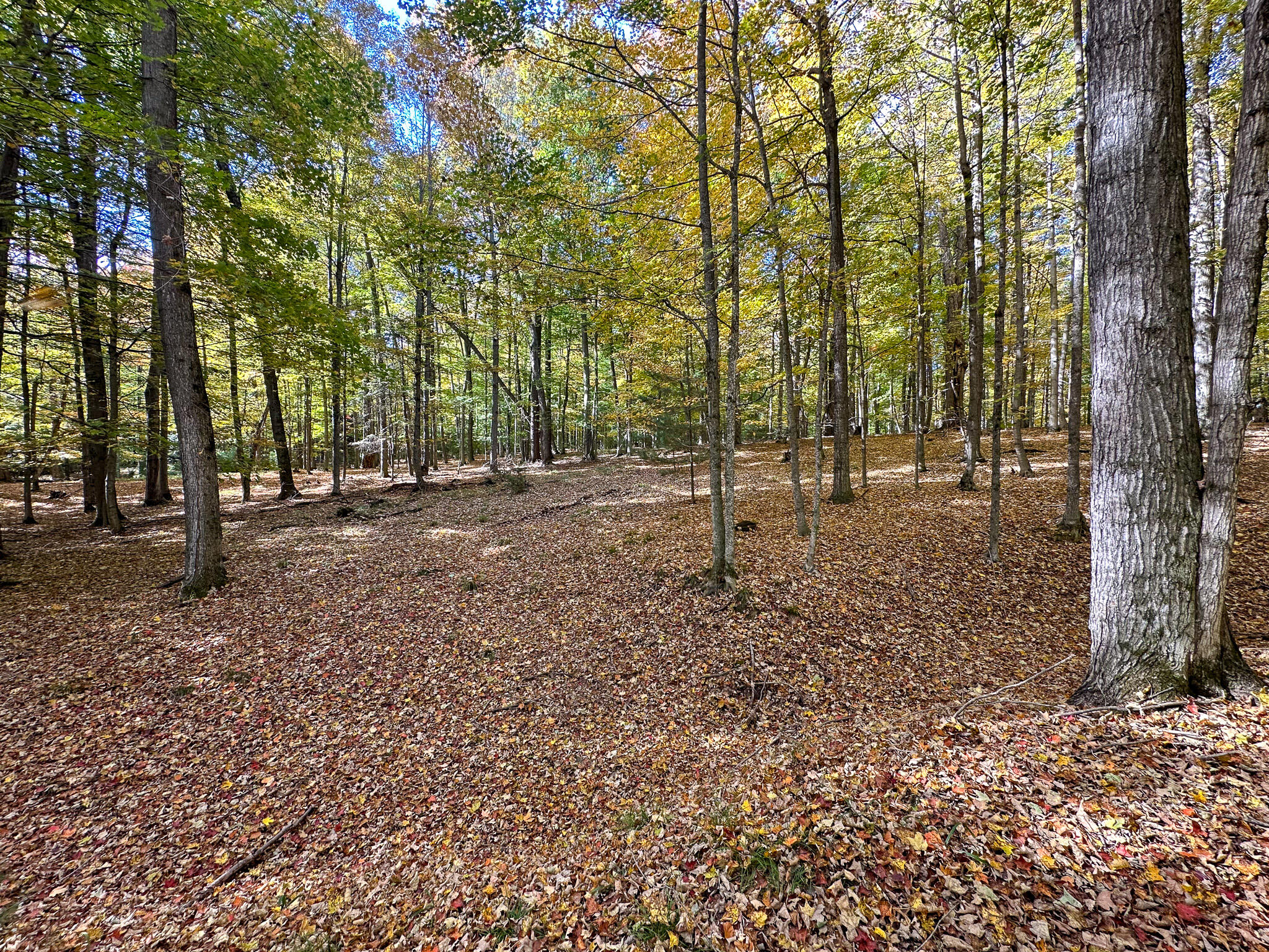 2330 N Peterson Road Ludington MI 49431
