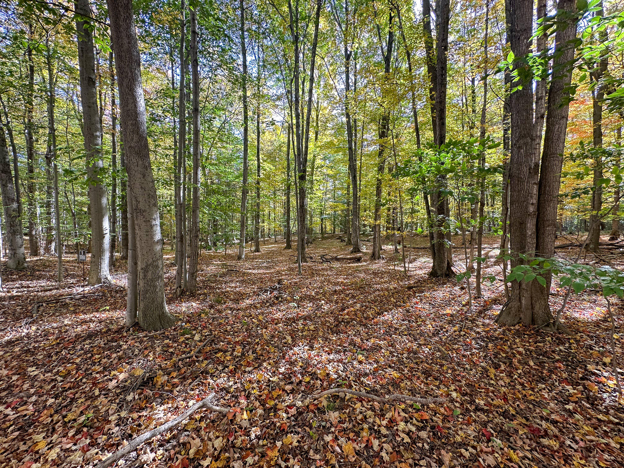 2330 N Peterson Road Ludington MI 49431