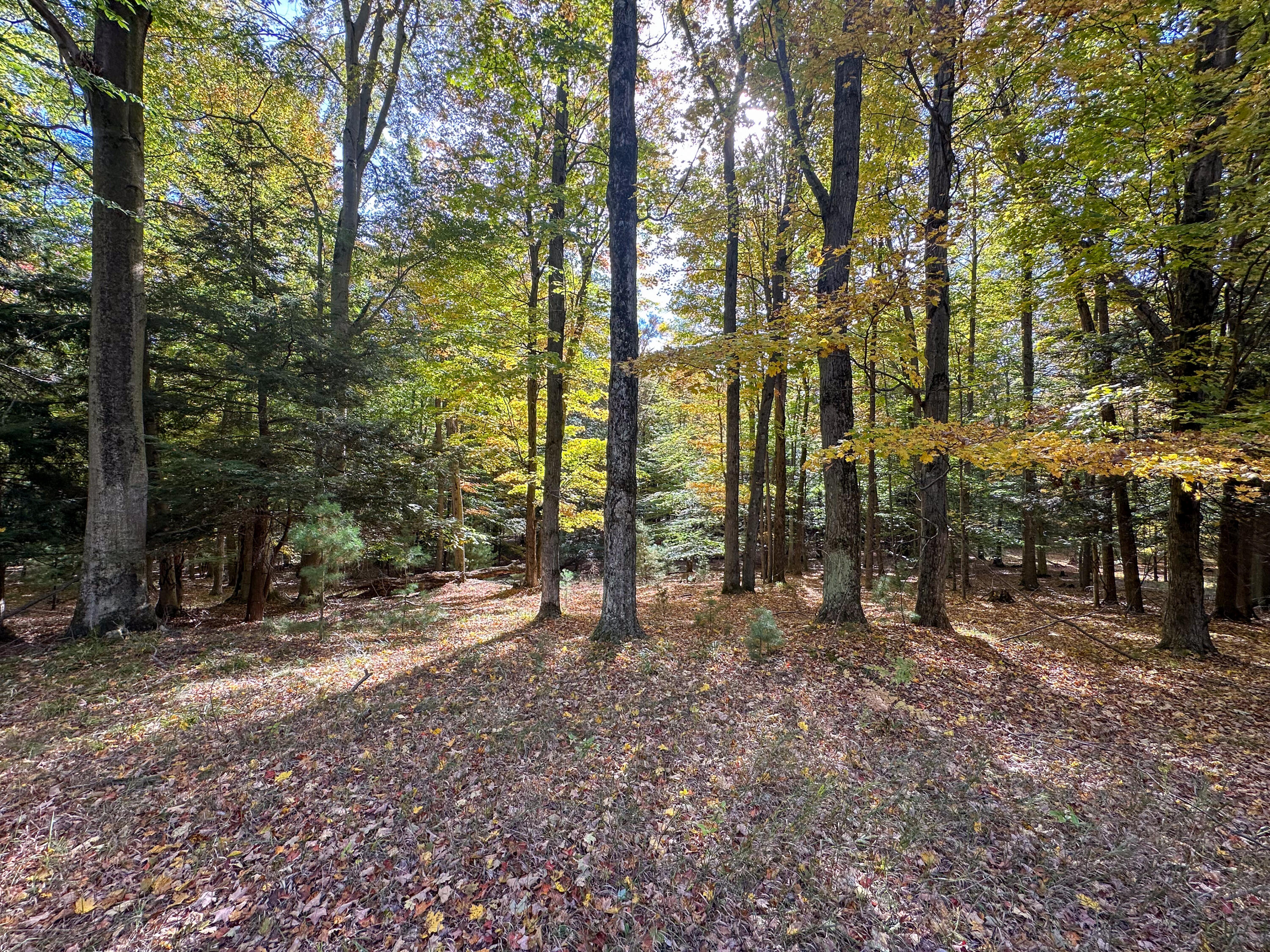 2330 N Peterson Road Ludington MI 49431