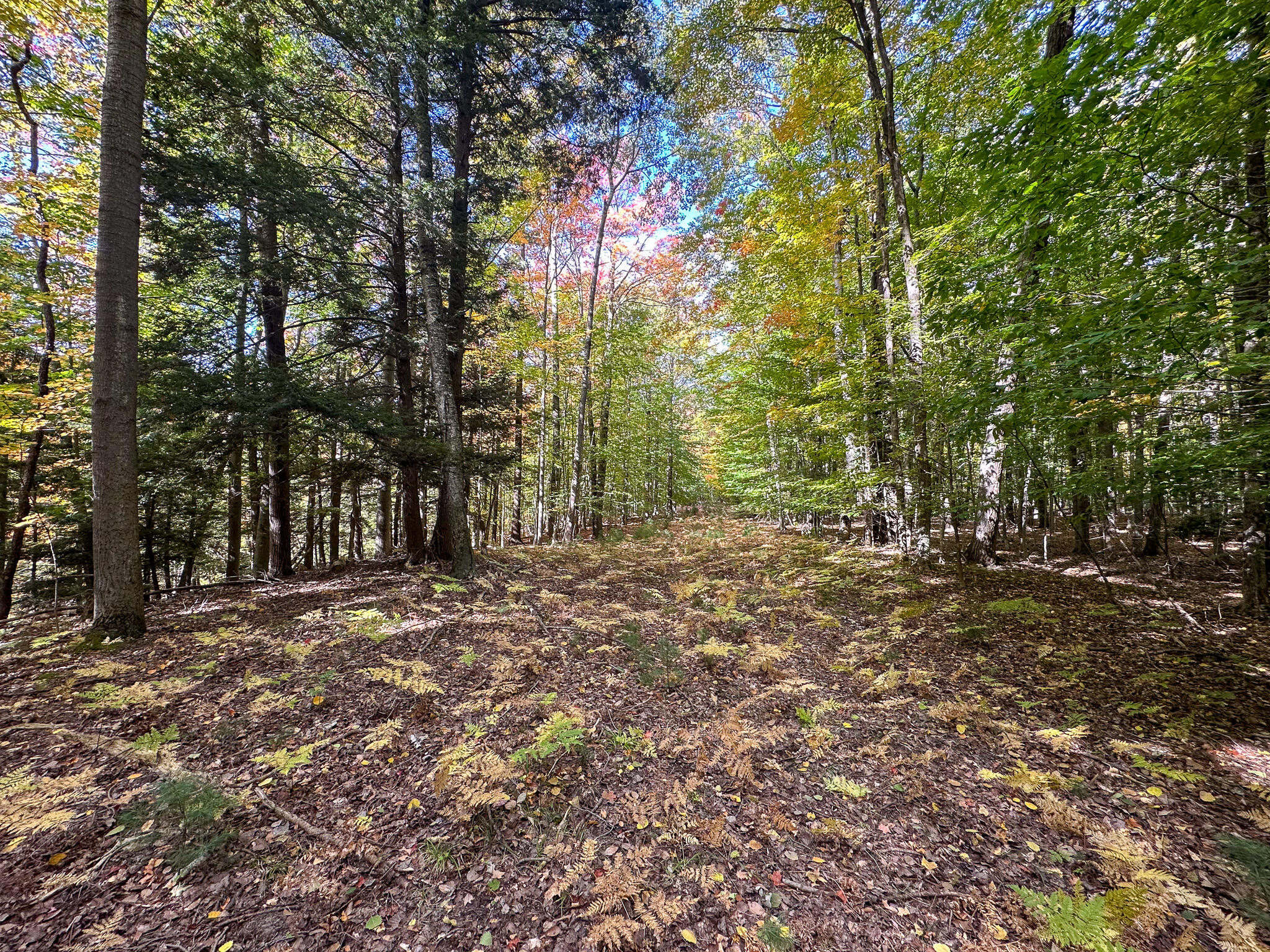 2330 N Peterson Road Ludington MI 49431