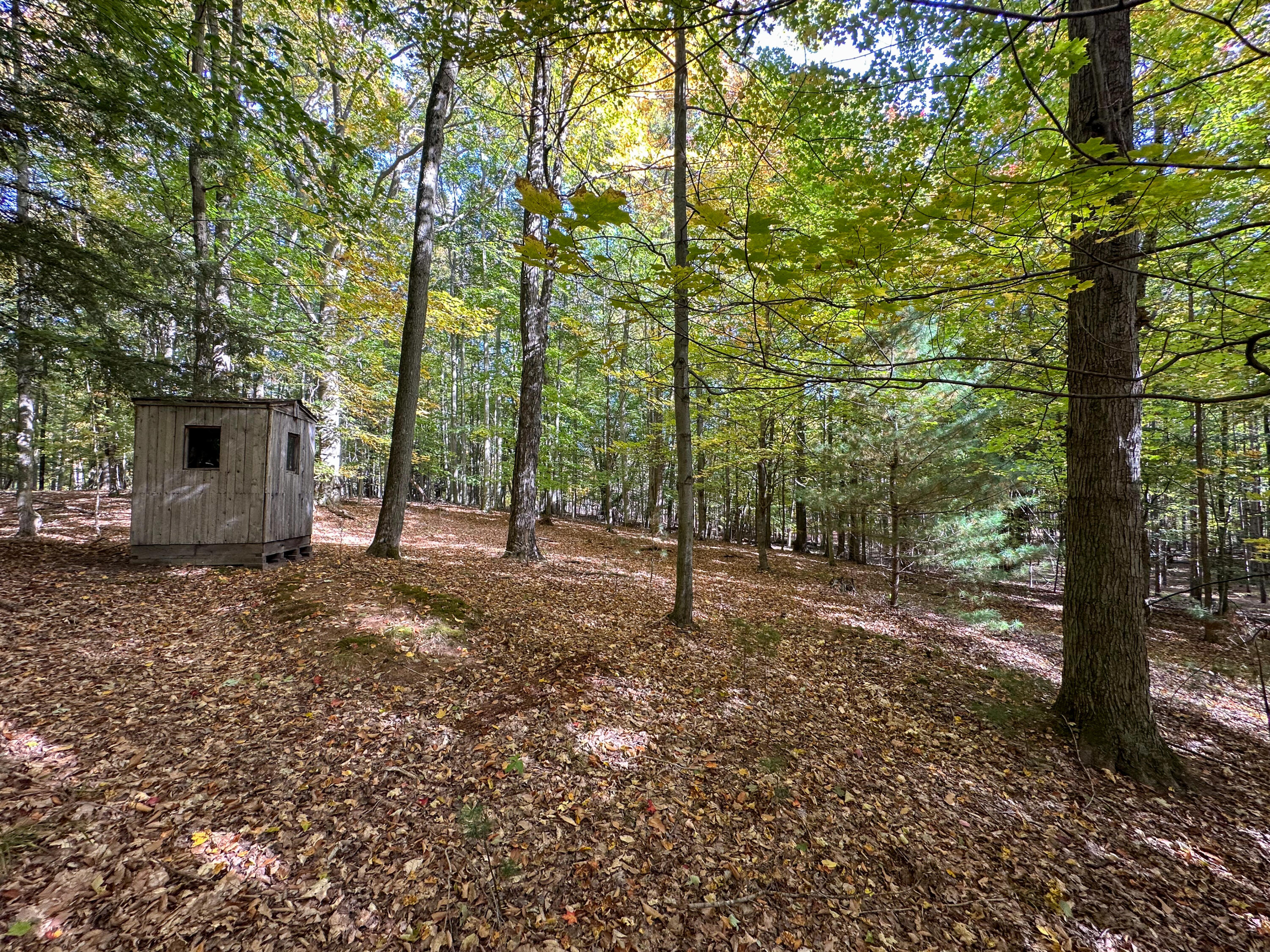 2330 N Peterson Road Ludington MI 49431