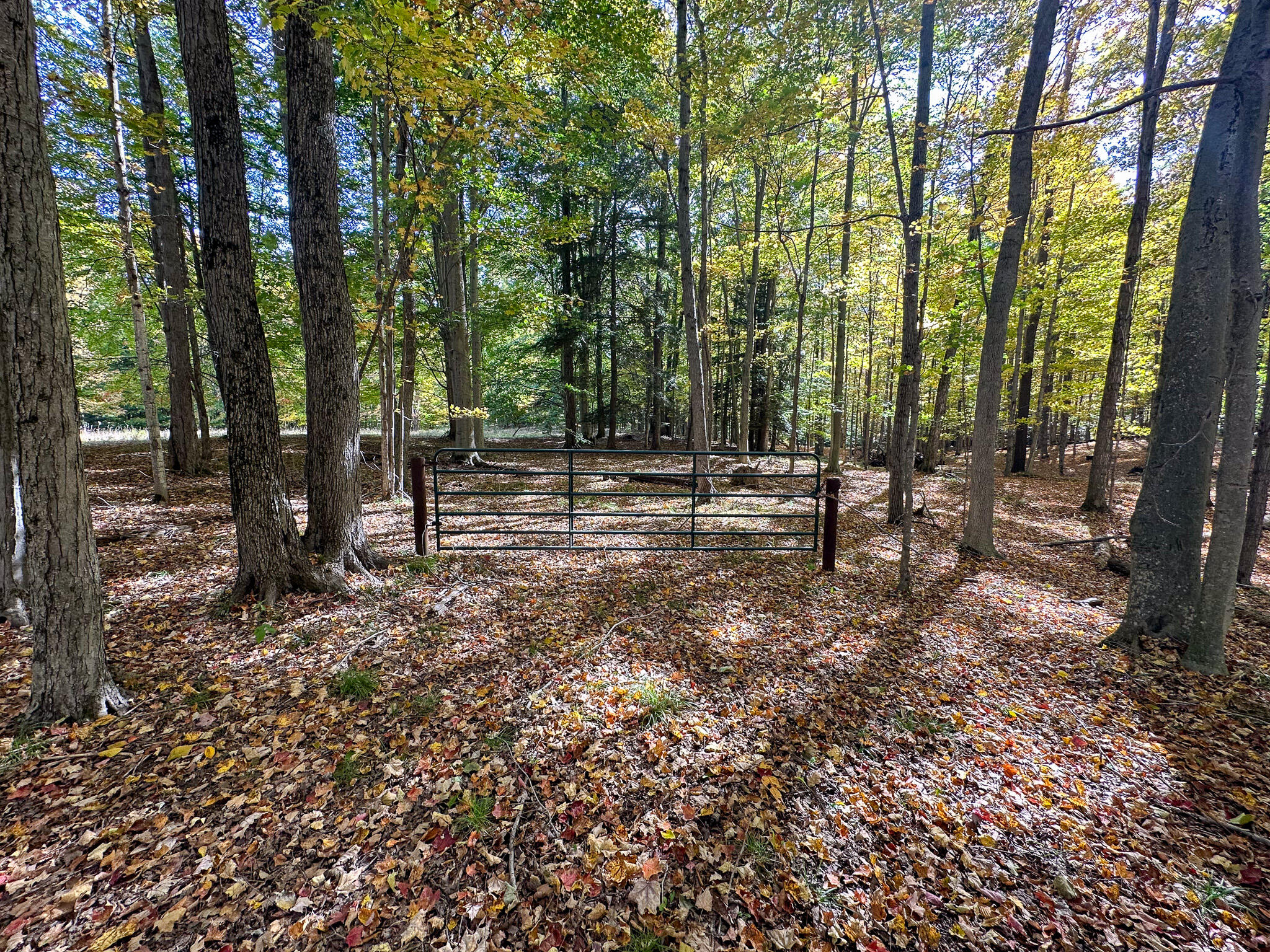 2330 N Peterson Road Ludington MI 49431