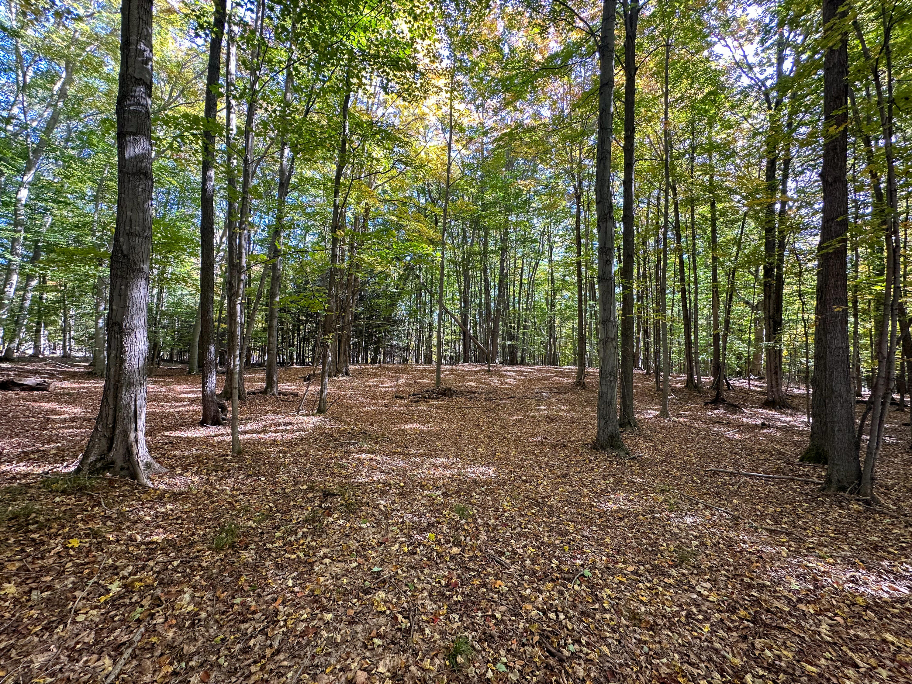 2330 N Peterson Road Ludington MI 49431