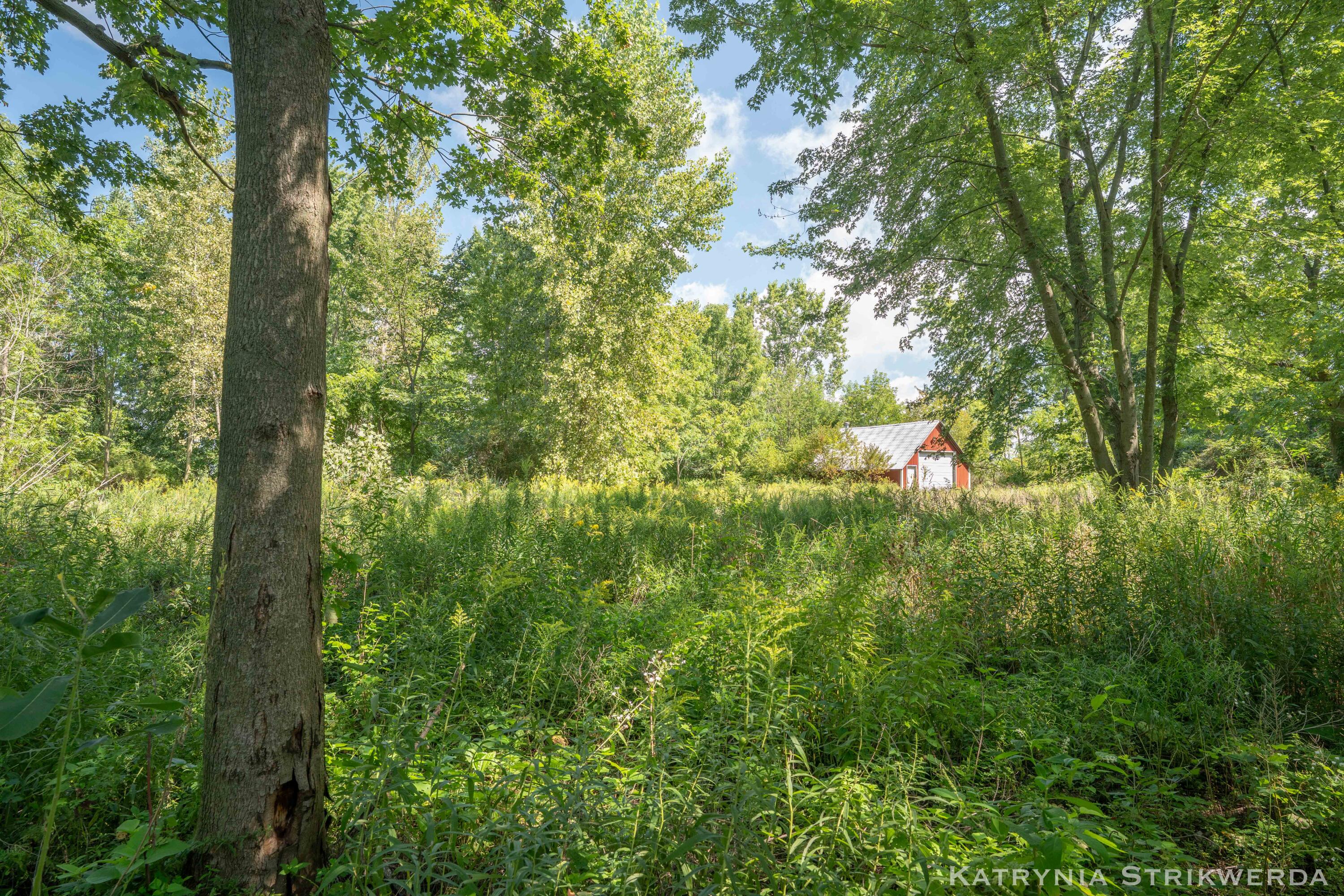 13433 Bingham Street Holland MI 49424