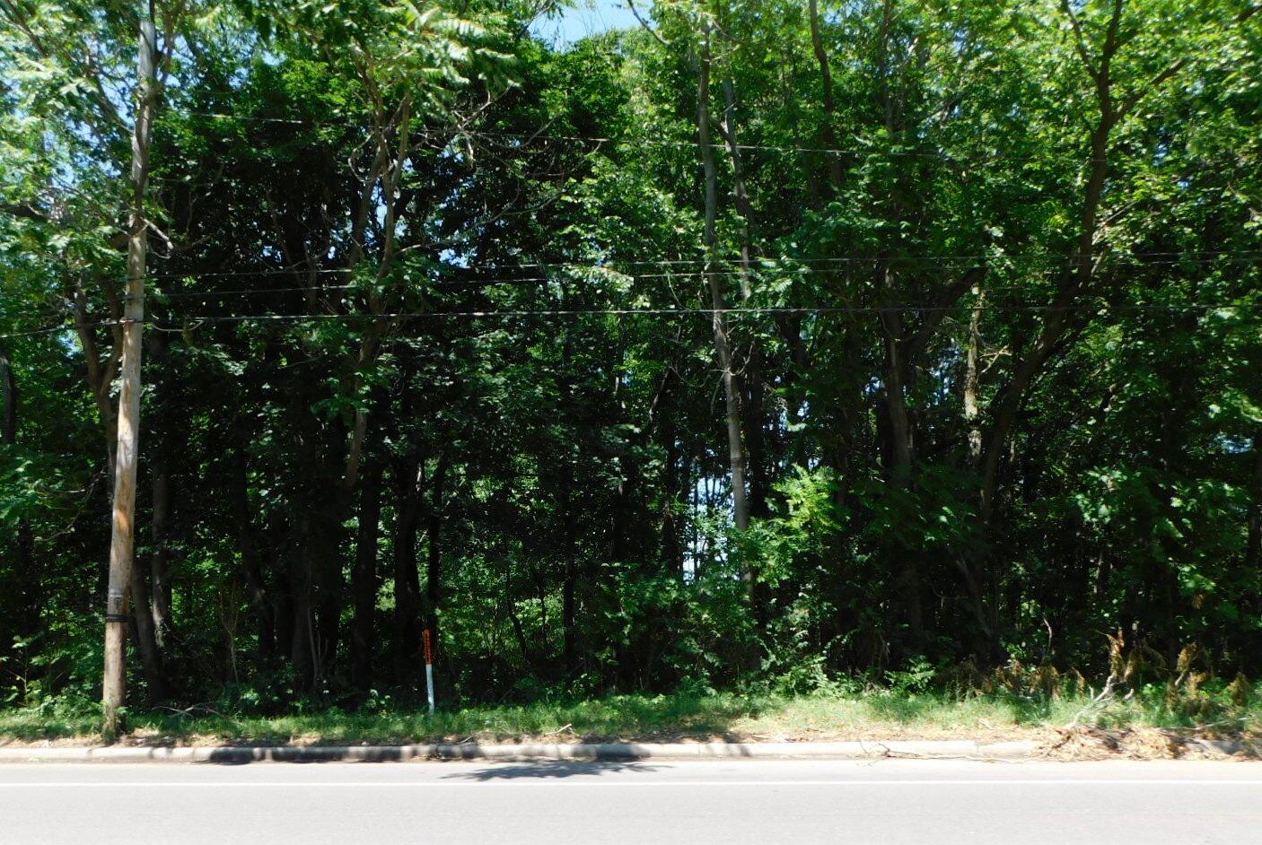 0 E Napier Avenue Benton Harbor MI 49022
