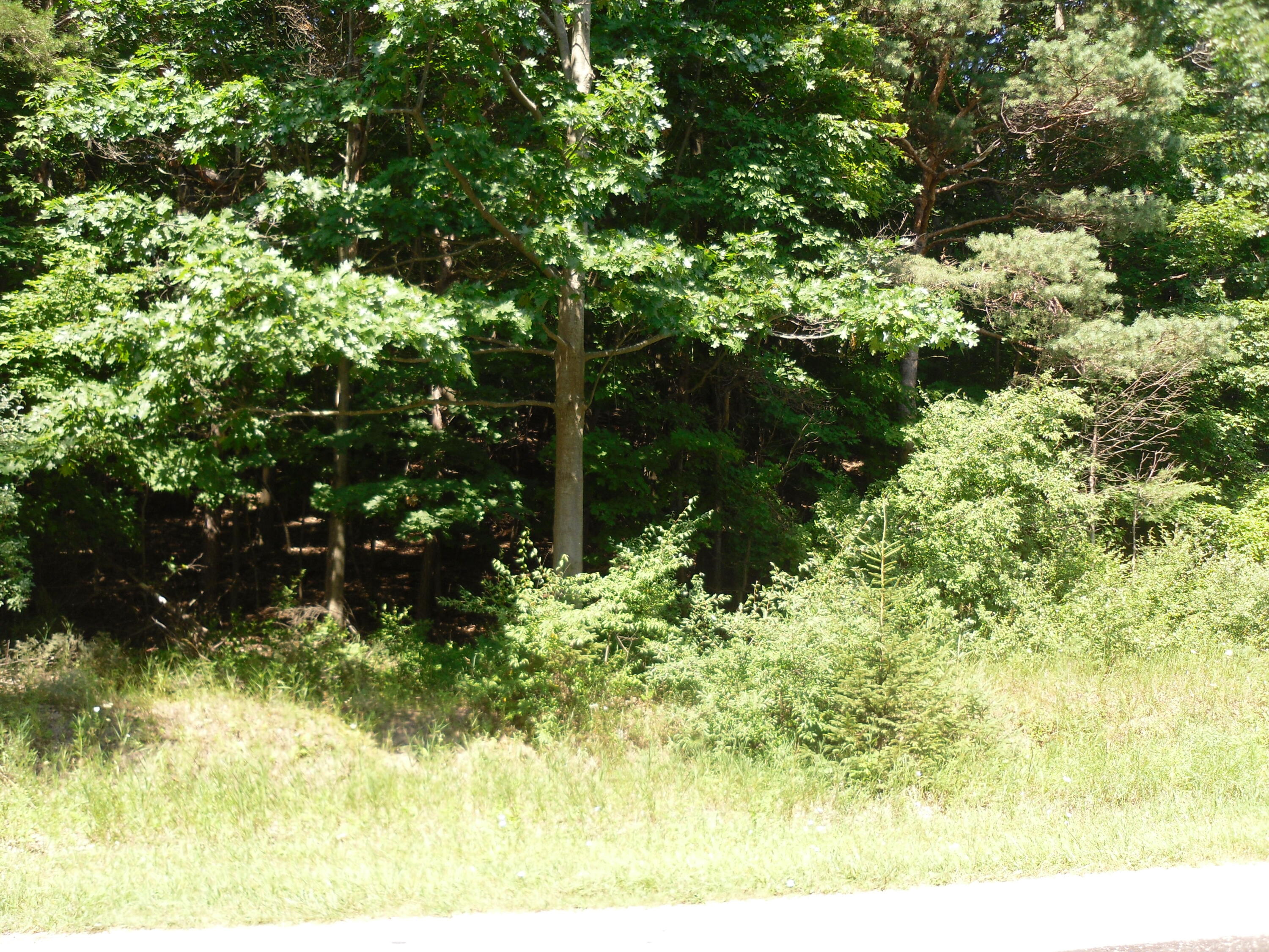 S Lakeshore Drive Ludington MI 49431