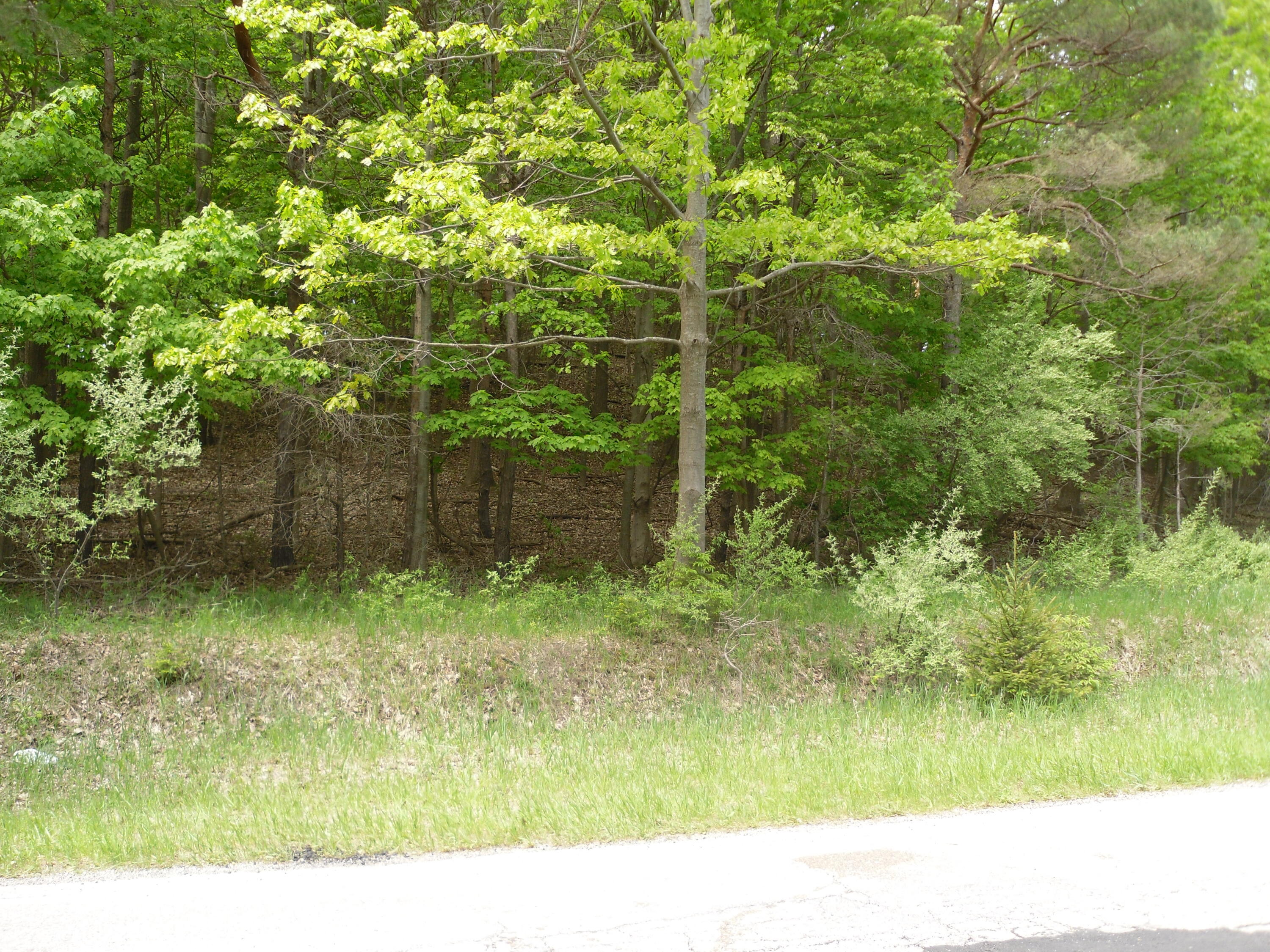 S Lakeshore Drive Ludington MI 49431